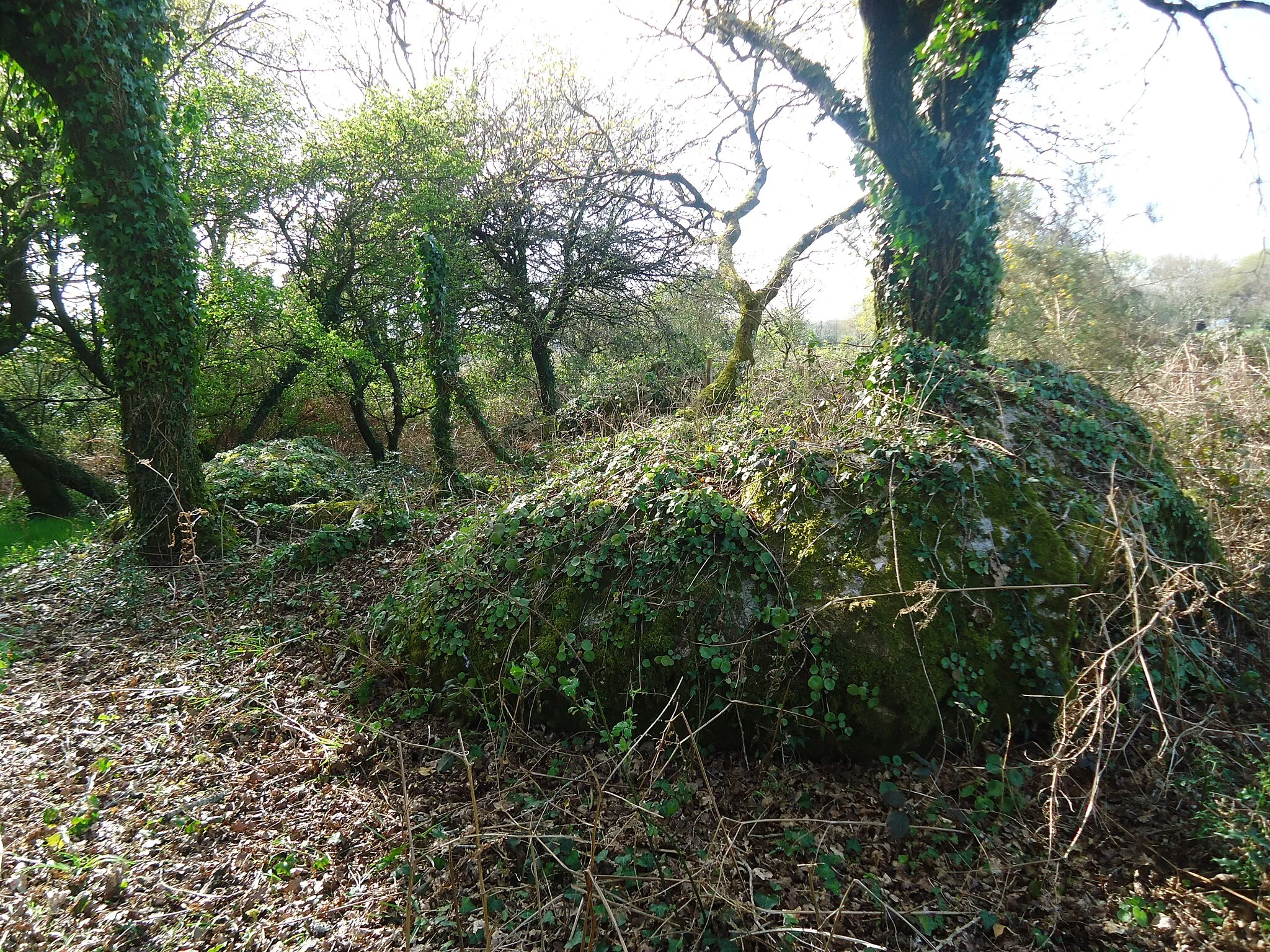 Photo showing: Dolmen de la Grotte des Korrigans à Landévant