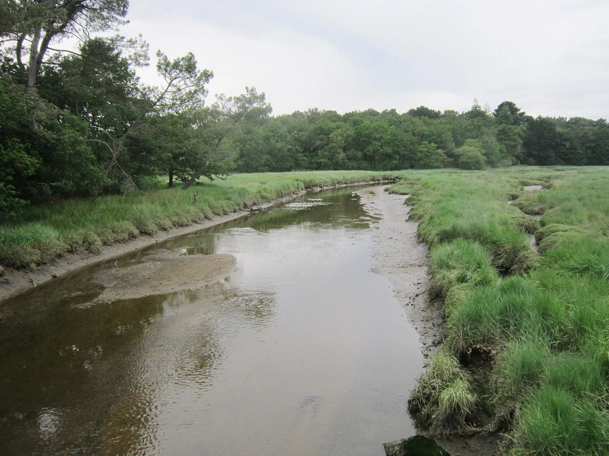 Photo showing: Lanester : le ruisseau de la Goden  à  sa sortie du marais à marée basse.
