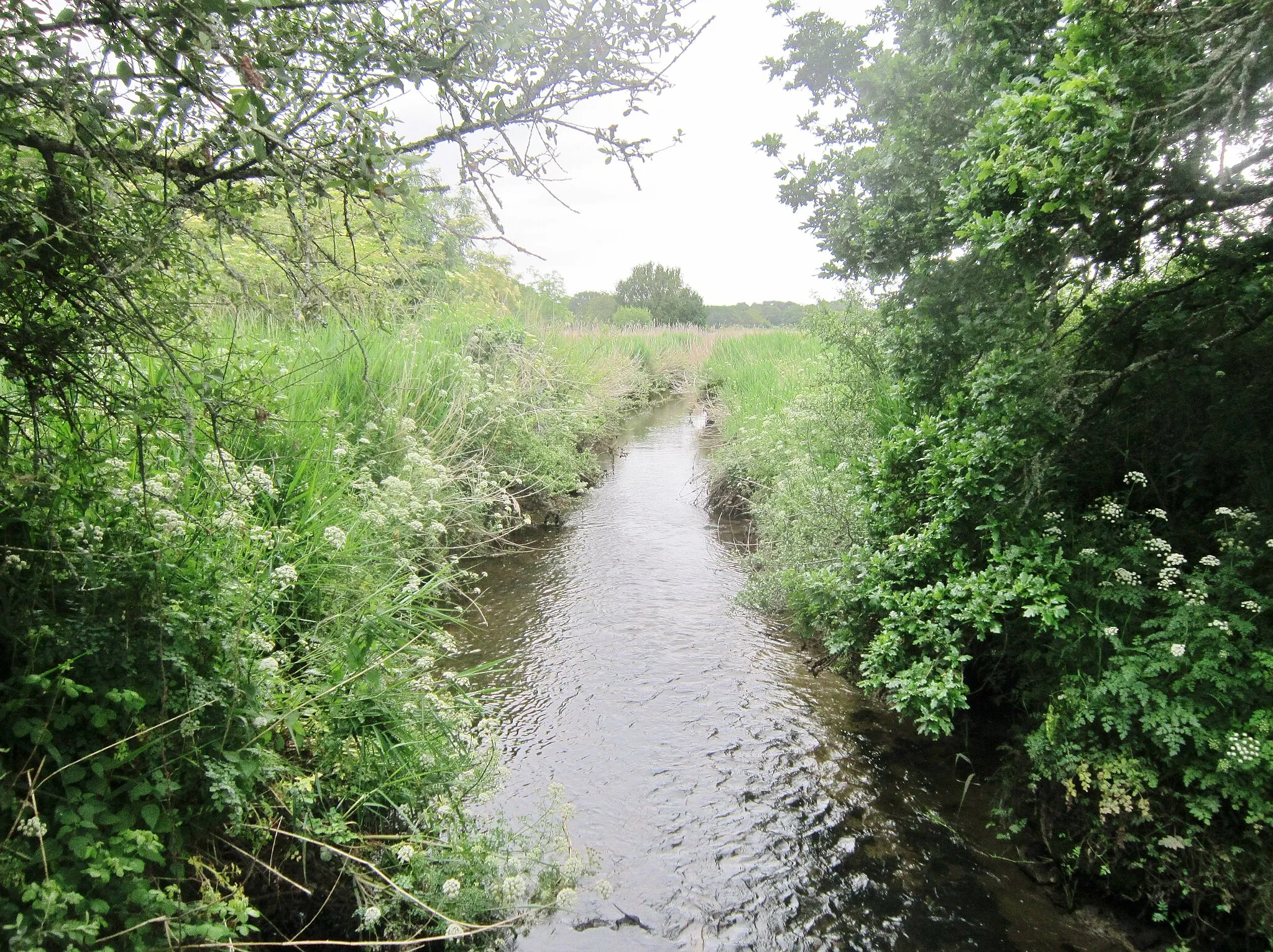 Photo showing: Lanester : le marais de la Goden.