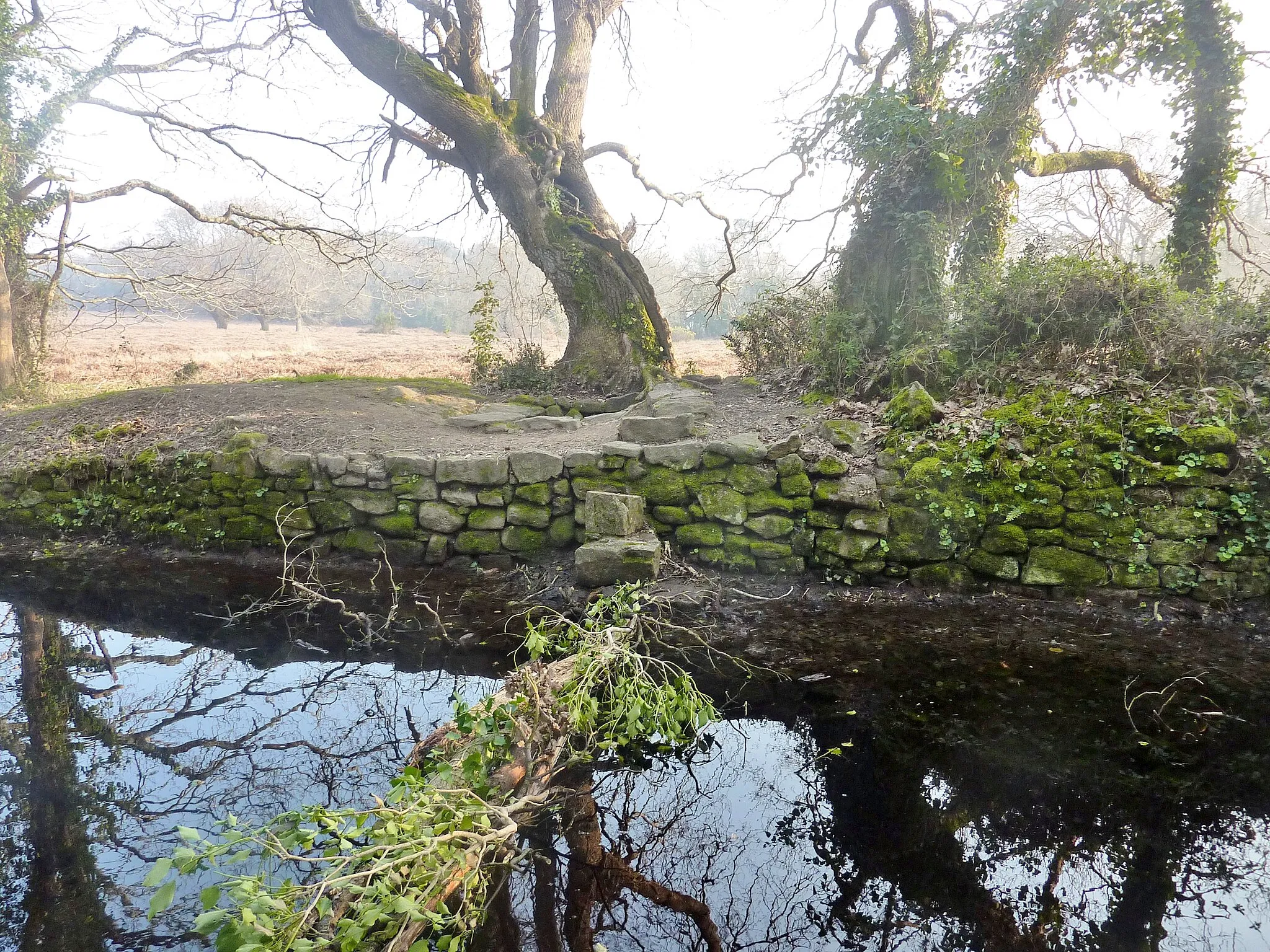 Photo showing: Locoal-Mendon : la cache de Cadoudal sur un talus.