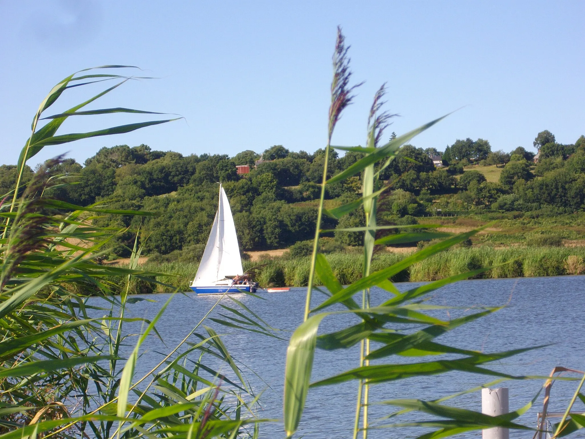 Photo showing: Vilaine river from Nivillac (Morbihan, France)