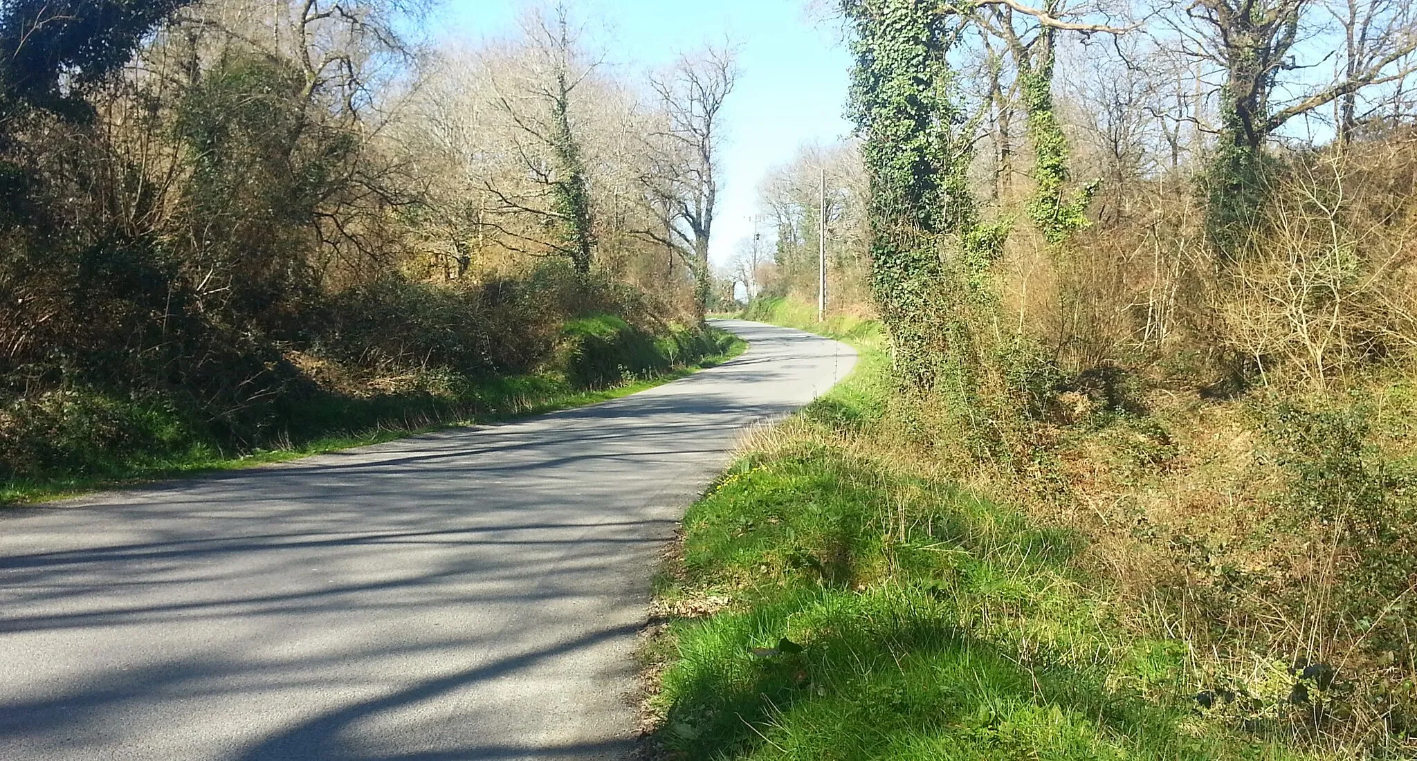 Photo showing: Route entre Noyal Muzillac et Lauzach