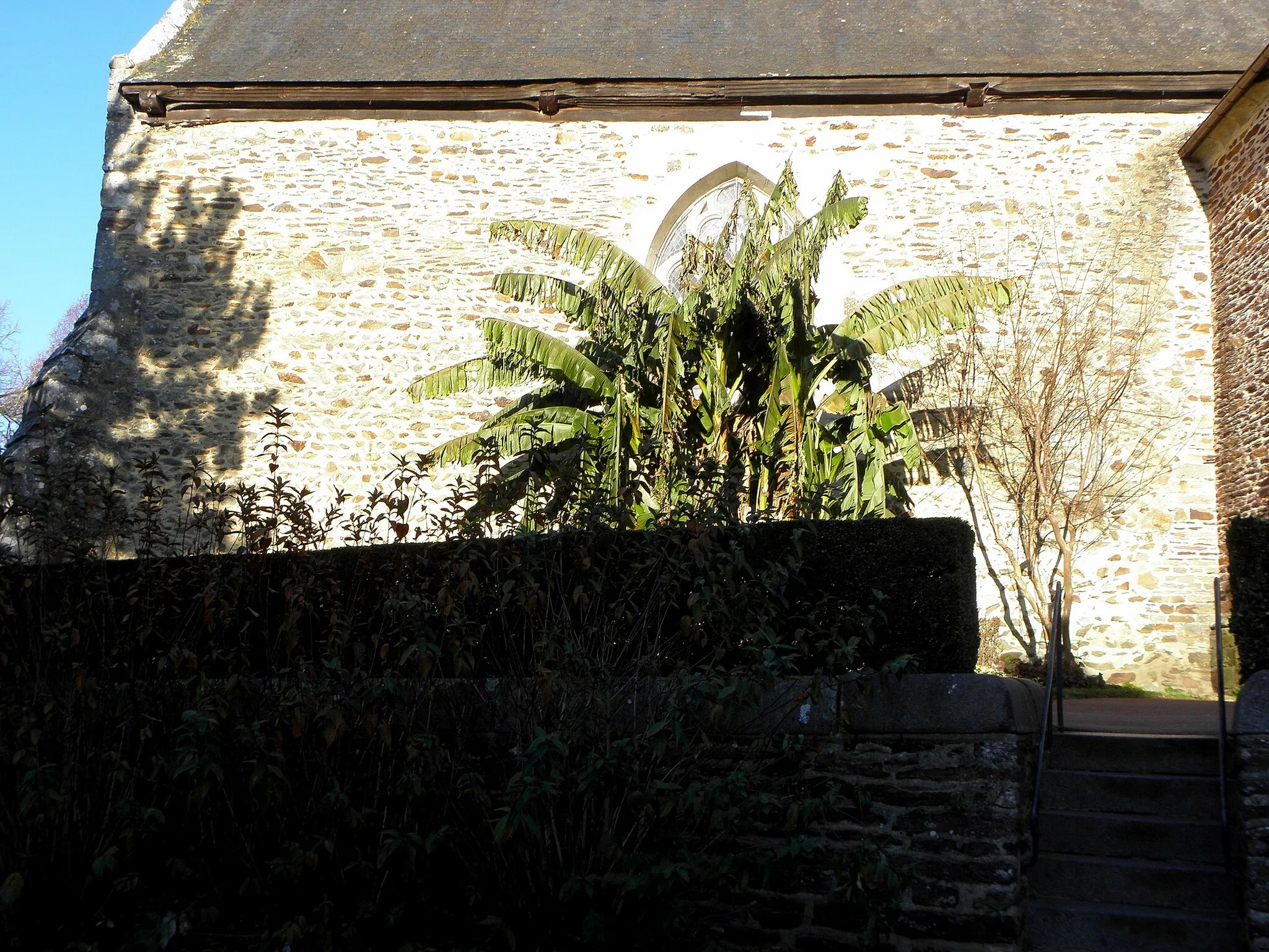 Photo showing: Église Saint-Melaine de Pacé (35). Costale sud de la nef.