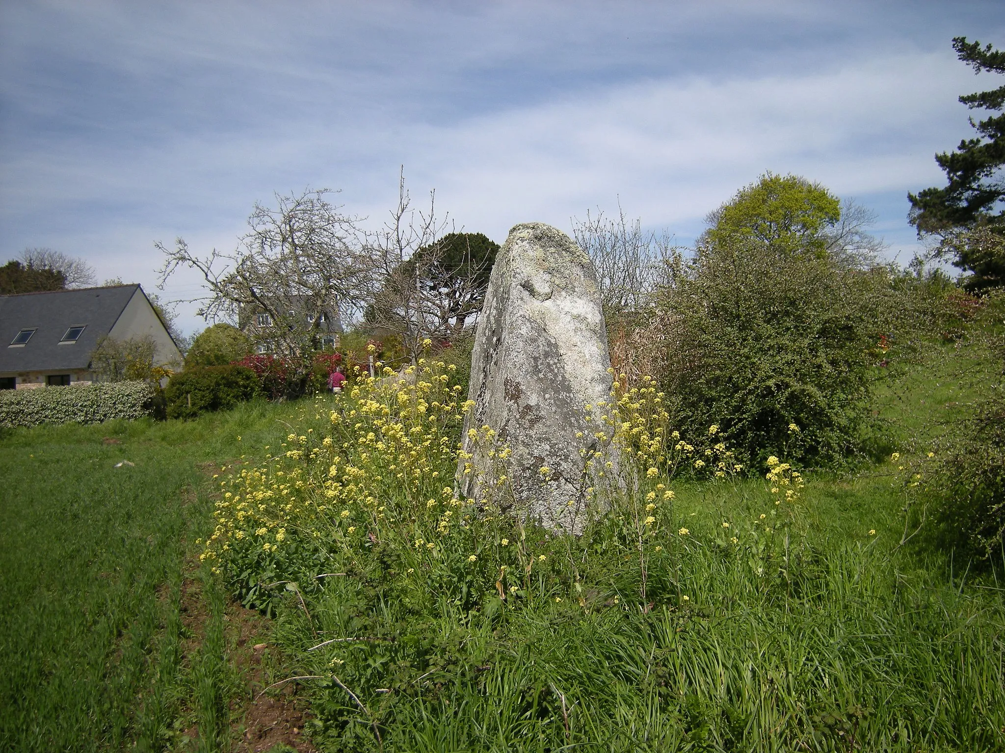 Photo showing: Menhir de Kervéniou, à Penvénan