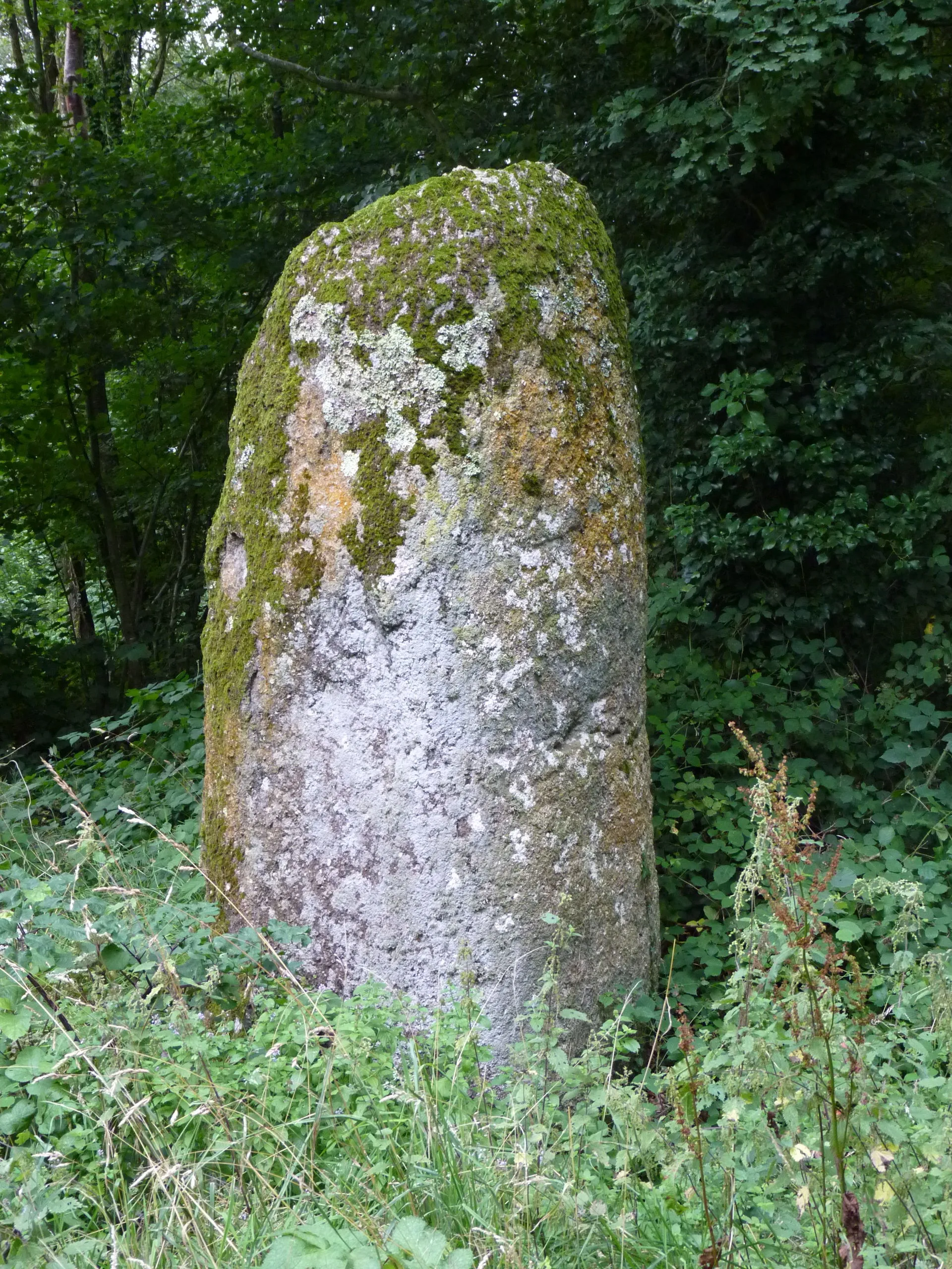 Photo showing: Menhir haut de 3,5 m