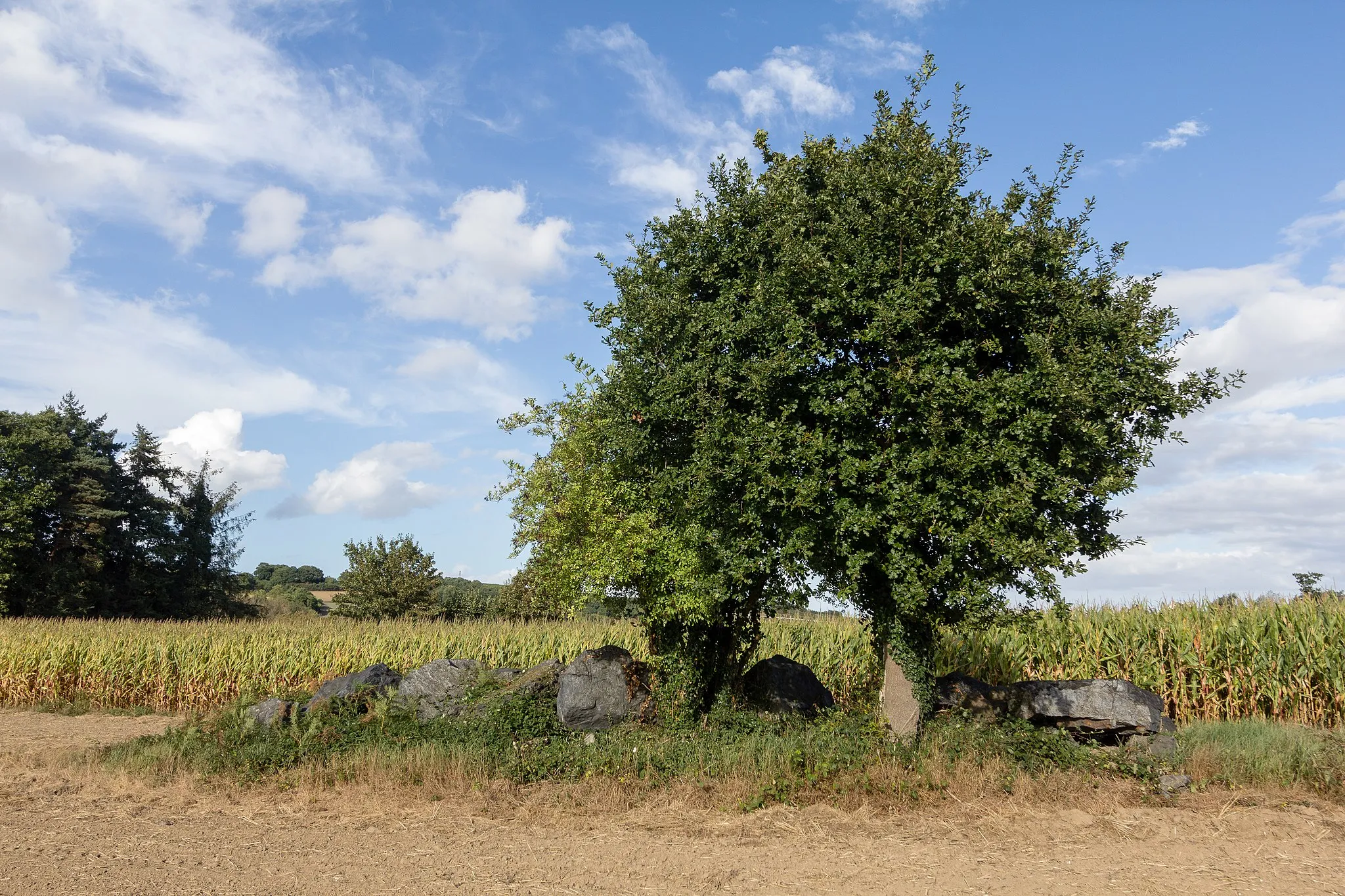 Photo showing: Allée couverte du Petit-Chêne à Plédran (France). Ne doit pas être confondue avec la proche allée couverte de la Roche Camio.