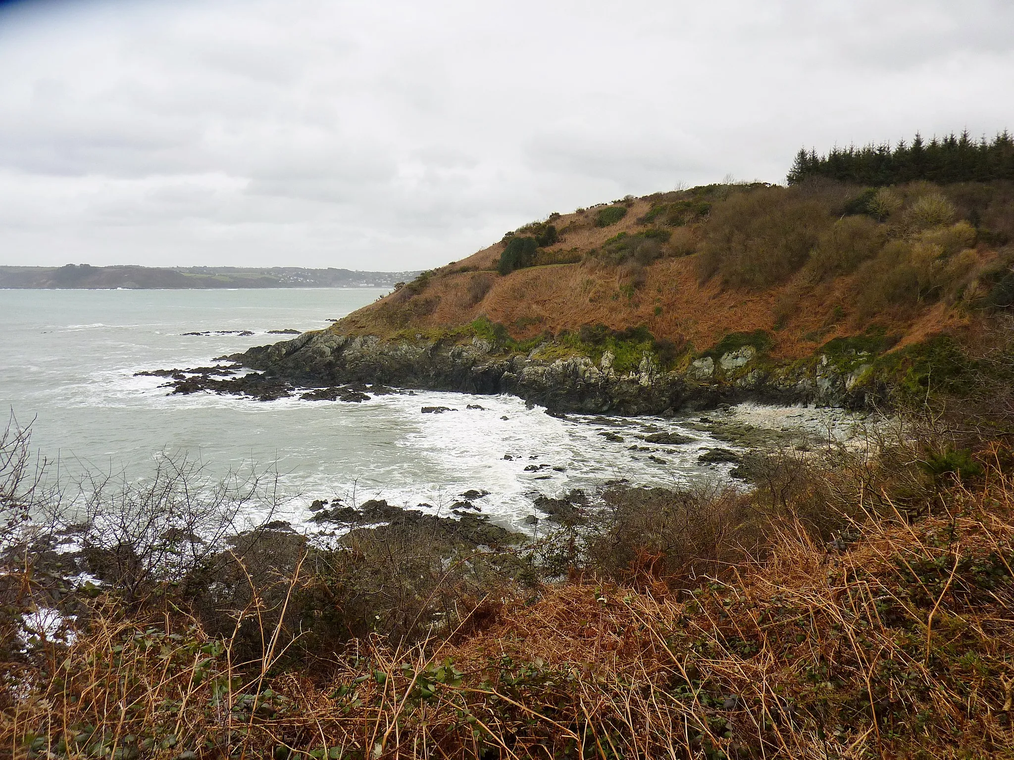 Photo showing: La corniche de Plestin-les-Grèves : les falaises entre Toull Kurun et Porz Mellec