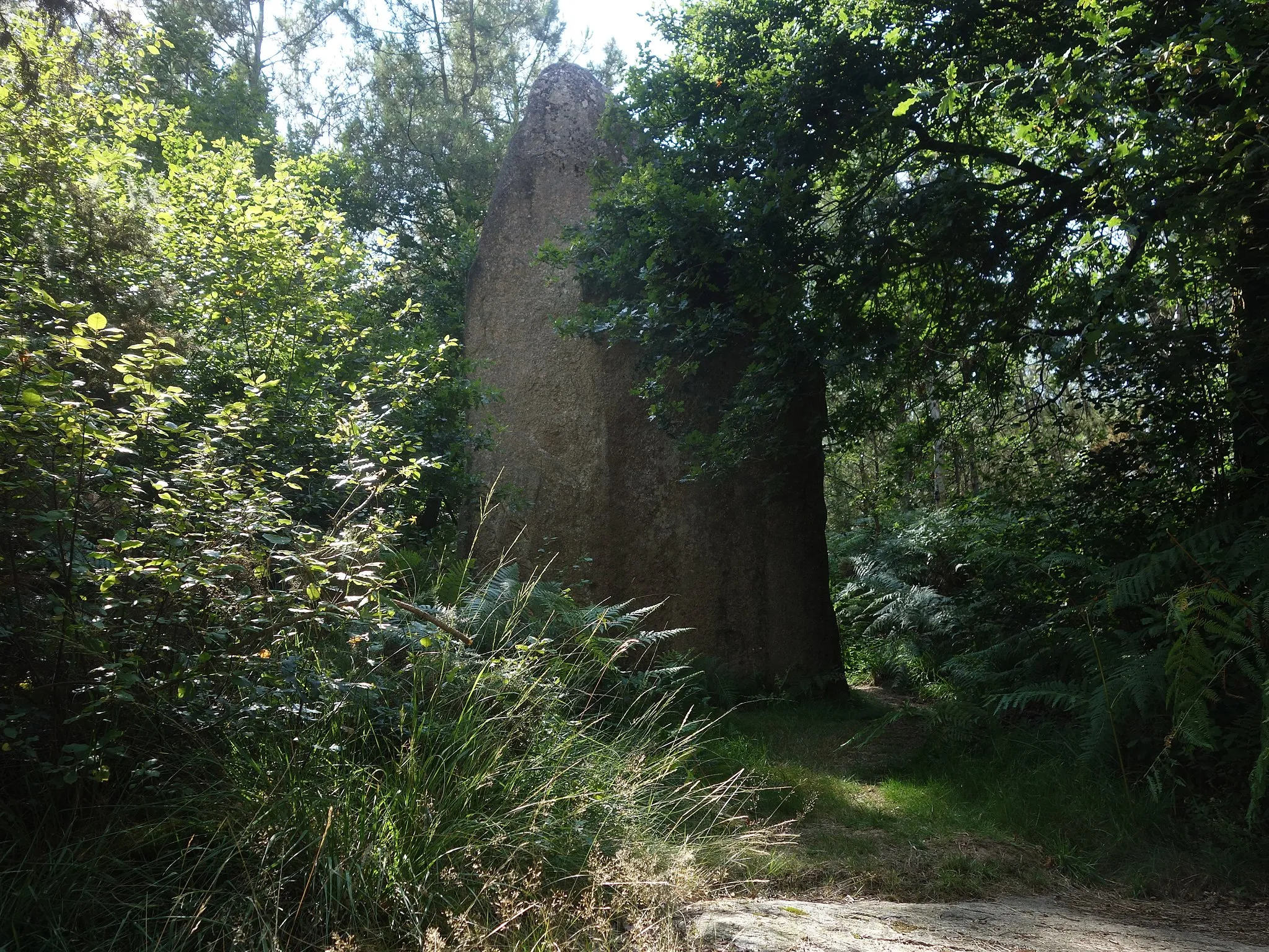 Photo showing: Le menhir de Ranion est un grand menhir tout en granite de 6,4 mètres de haut pour 3,30 m de large et d'environ 1 m d'épaisseur… Il se situe à 3 kilomètres à l'ouest de Pleucadeuc dans le bois de l'Enclos...