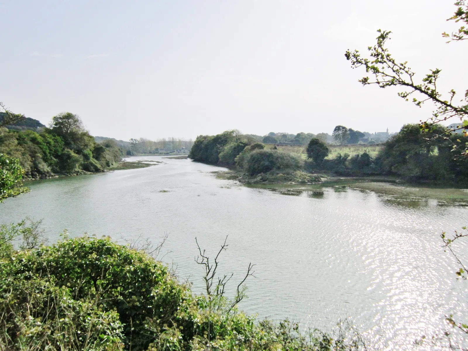 Photo showing: La partie amont de l'estuaire du Guillec vue depuis la rive droite côté Plougoulm ; à droite de la photo, la rive gauche côté Sibiril