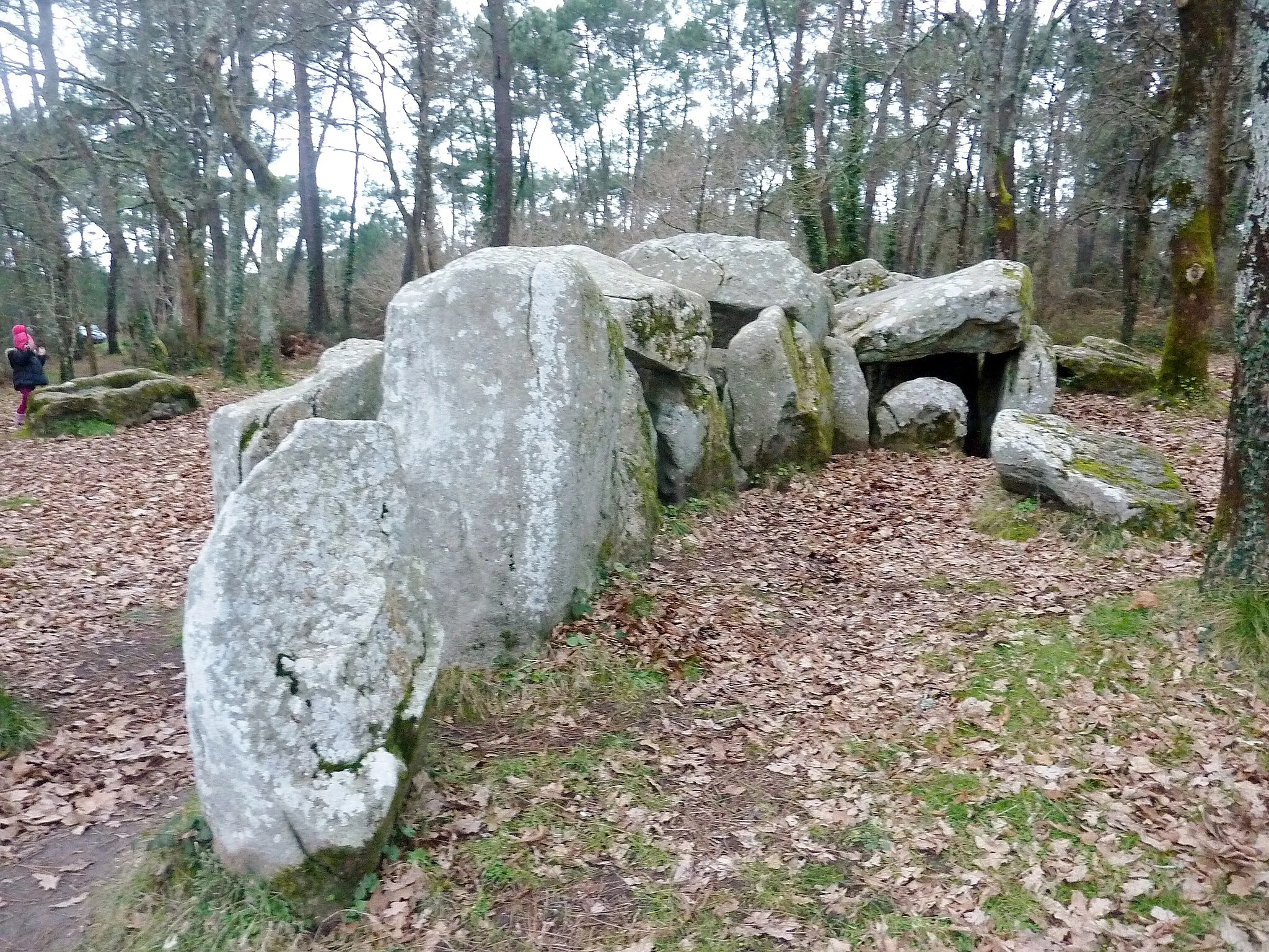 Photo showing: Plouharnel : le dolmen de Mané er Roc'h.