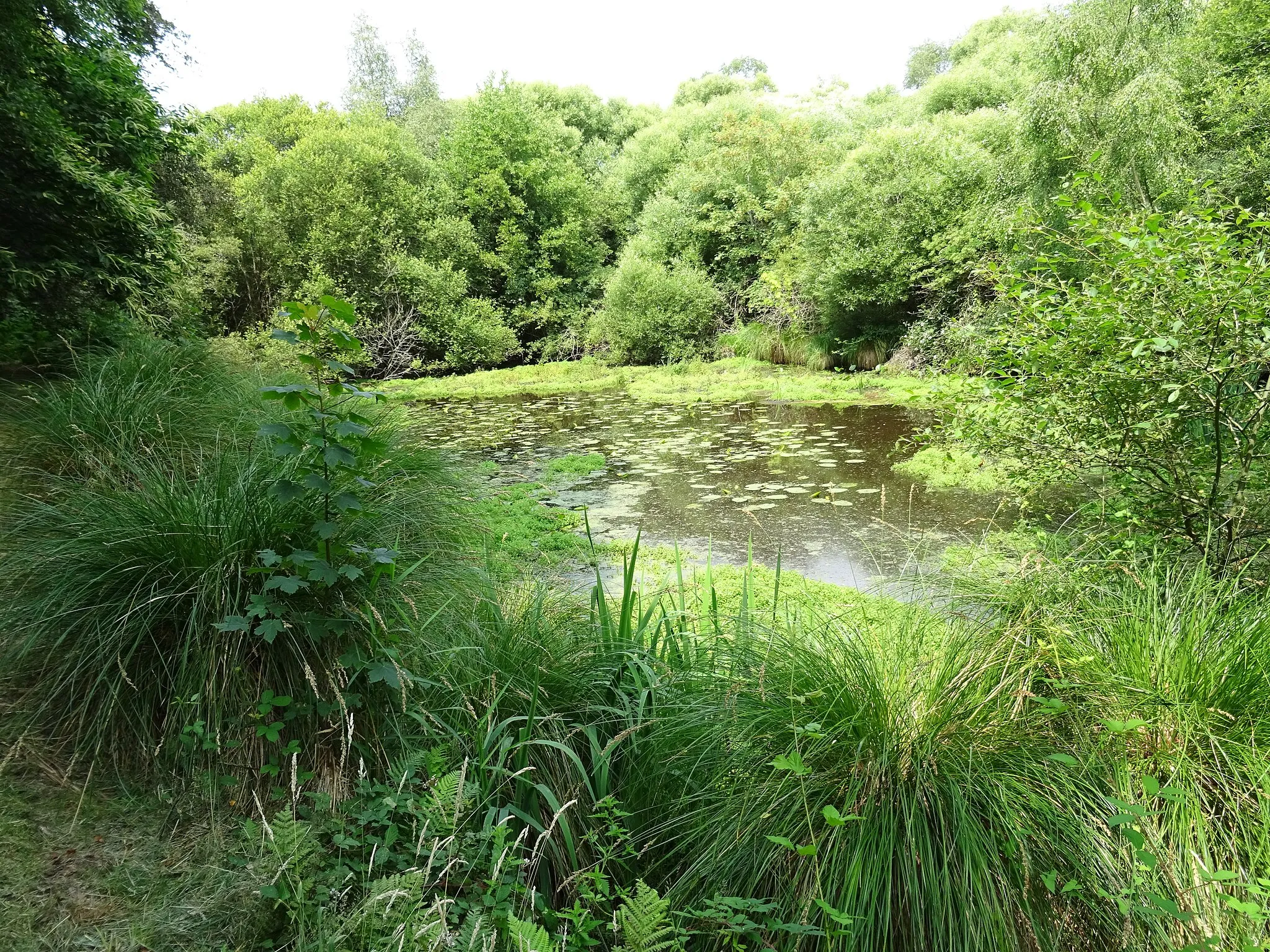 Image de Pont-Scorff