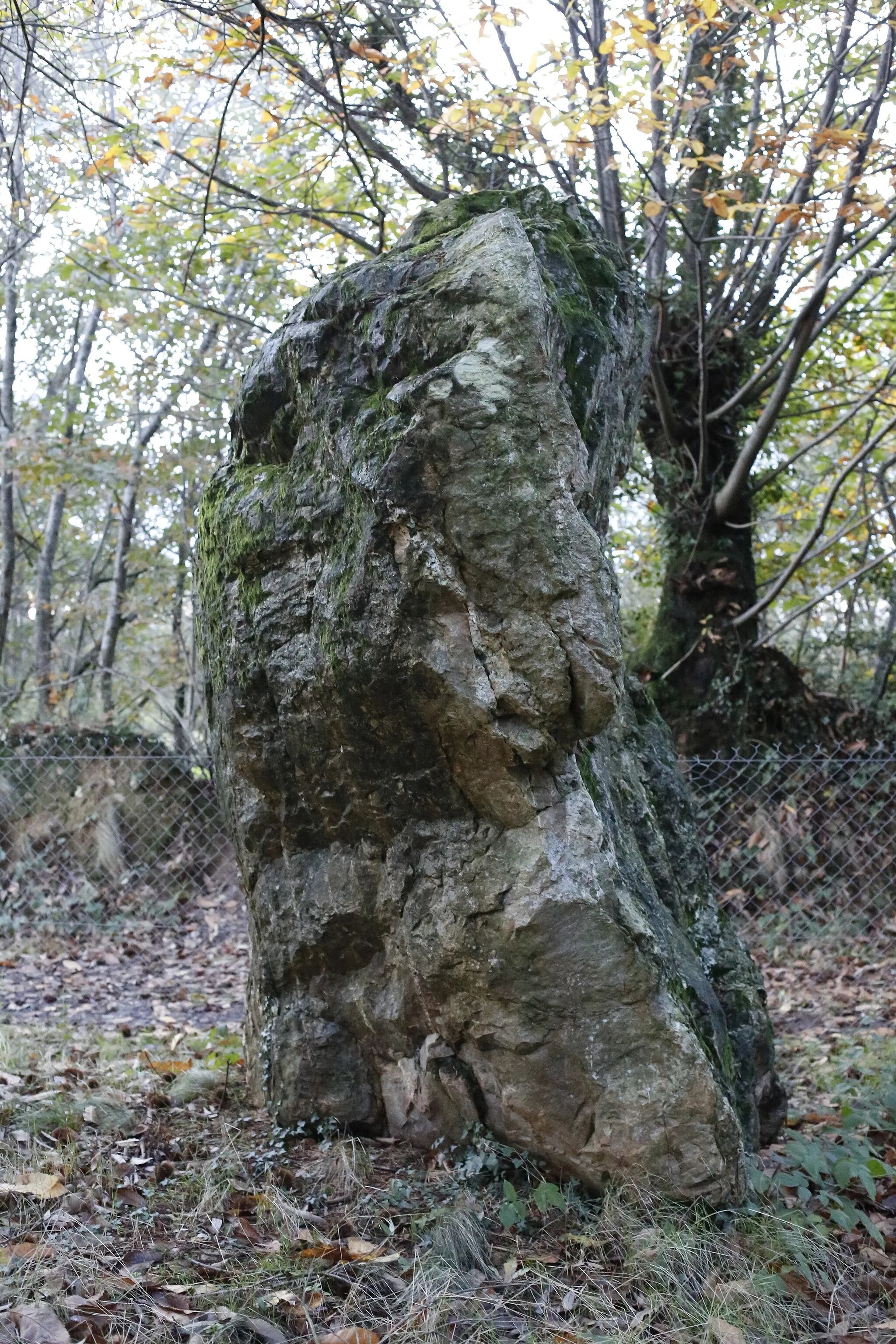 Photo showing: La pierre de Richebourg à Retiers.