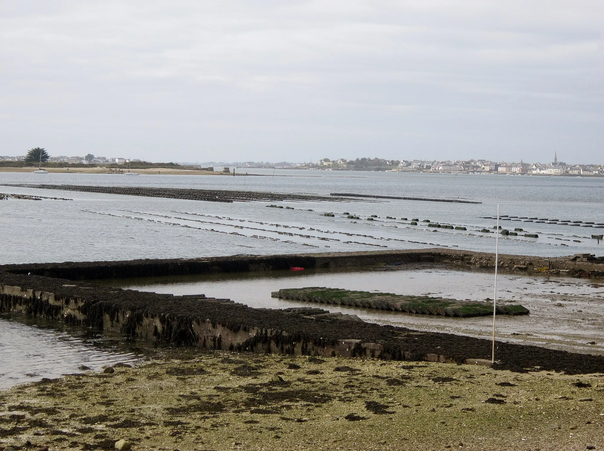 Photo showing: Petite mer de Gâvres: ancien parc ostréicole dans la partie ouest de l'île de Kerner ; à l'arrière plan àdoite Port-Louis et à gauche Ban Gâvres.