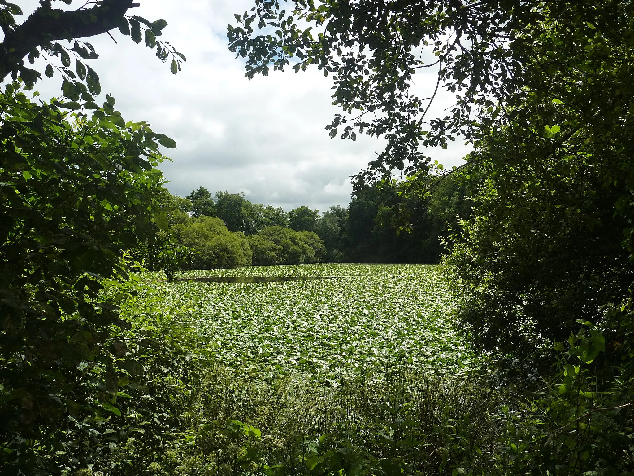 Image de Bretagne