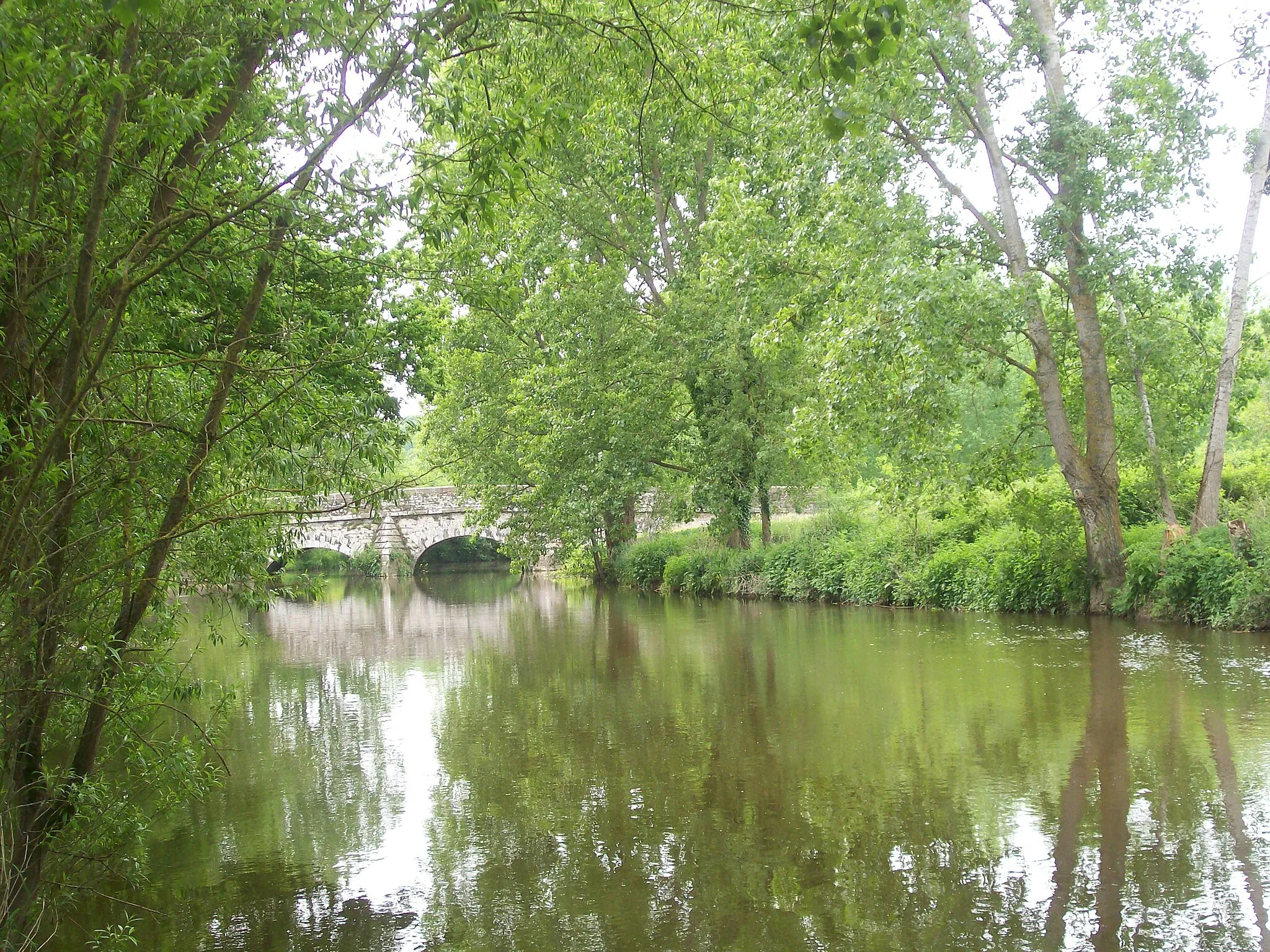 Photo showing: La rivière de la Seiche près du pont de Vaugon.