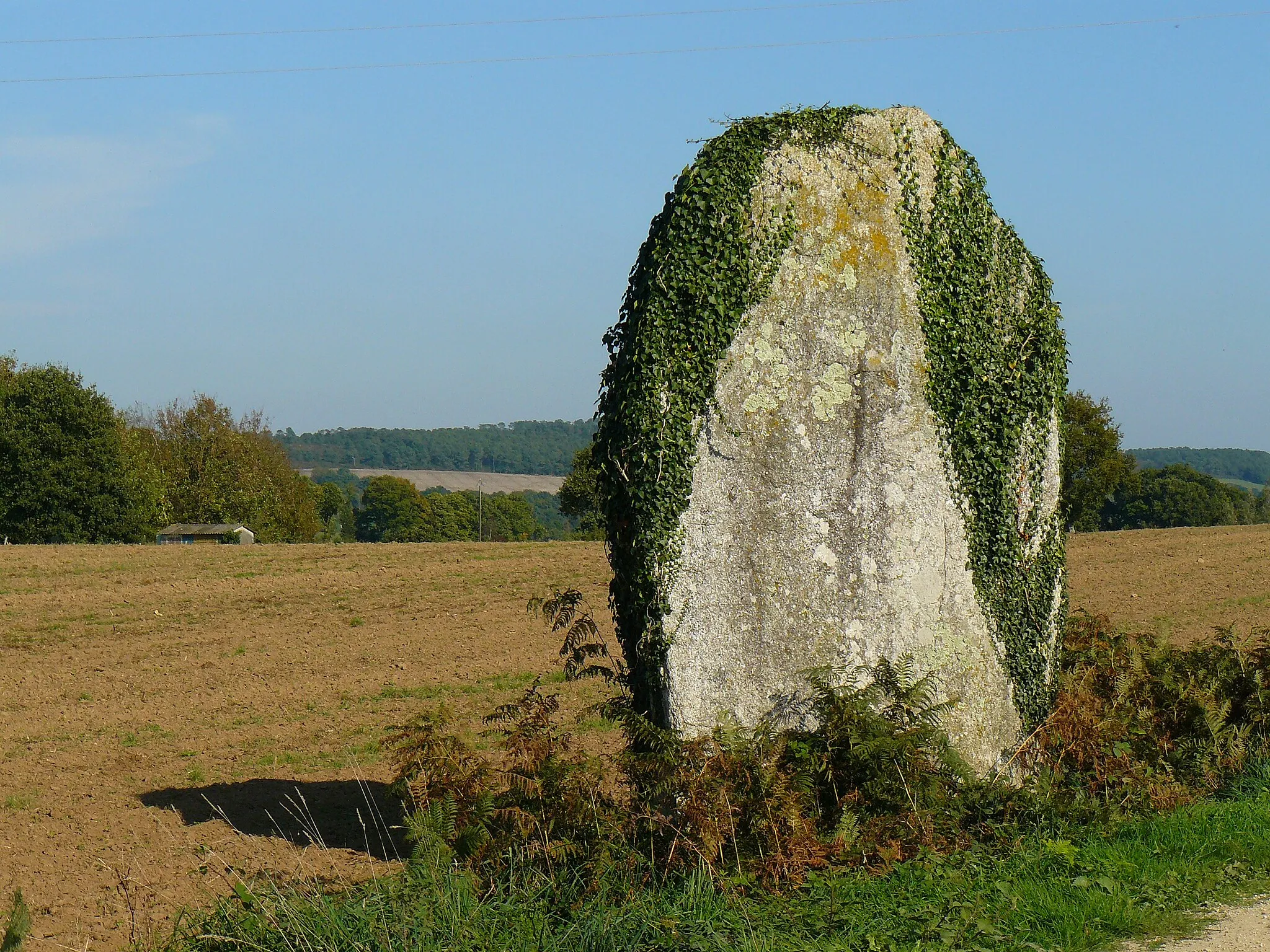 Photo showing: Menhir de Lann Douar situé sur la commune de Saint Jean Brévelay 56 FRANCE