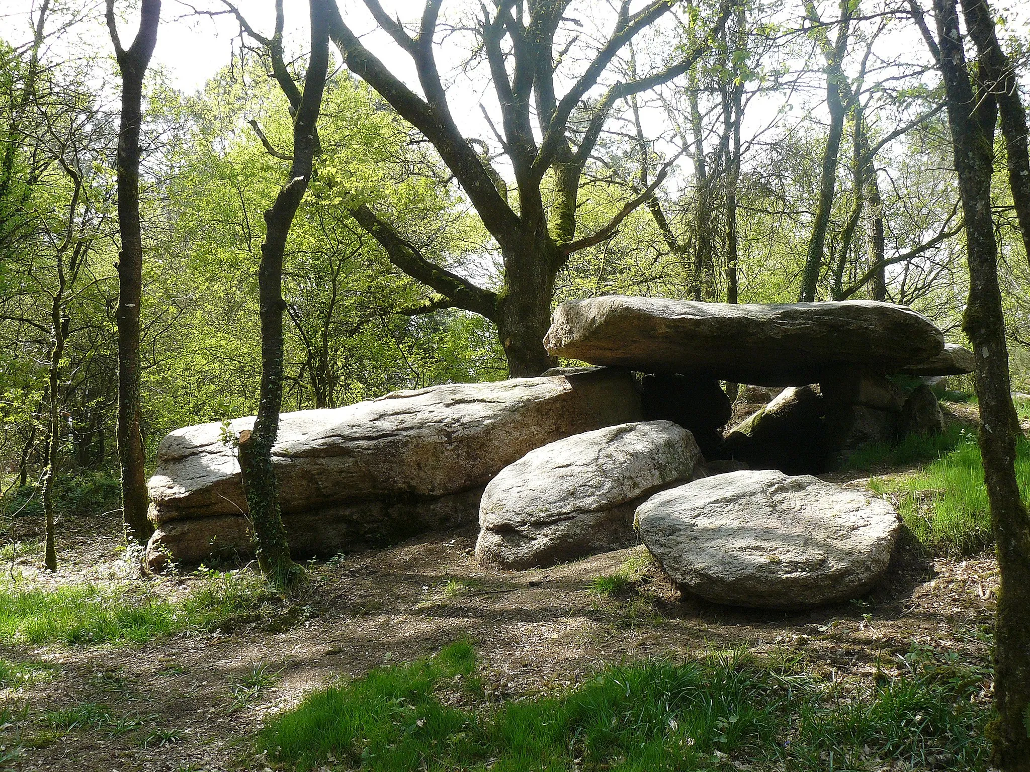 Photo showing: Dolmen de Roh-Koh-Koed situé sur la commune de Saint Jean Brévelay 56 FRANCE