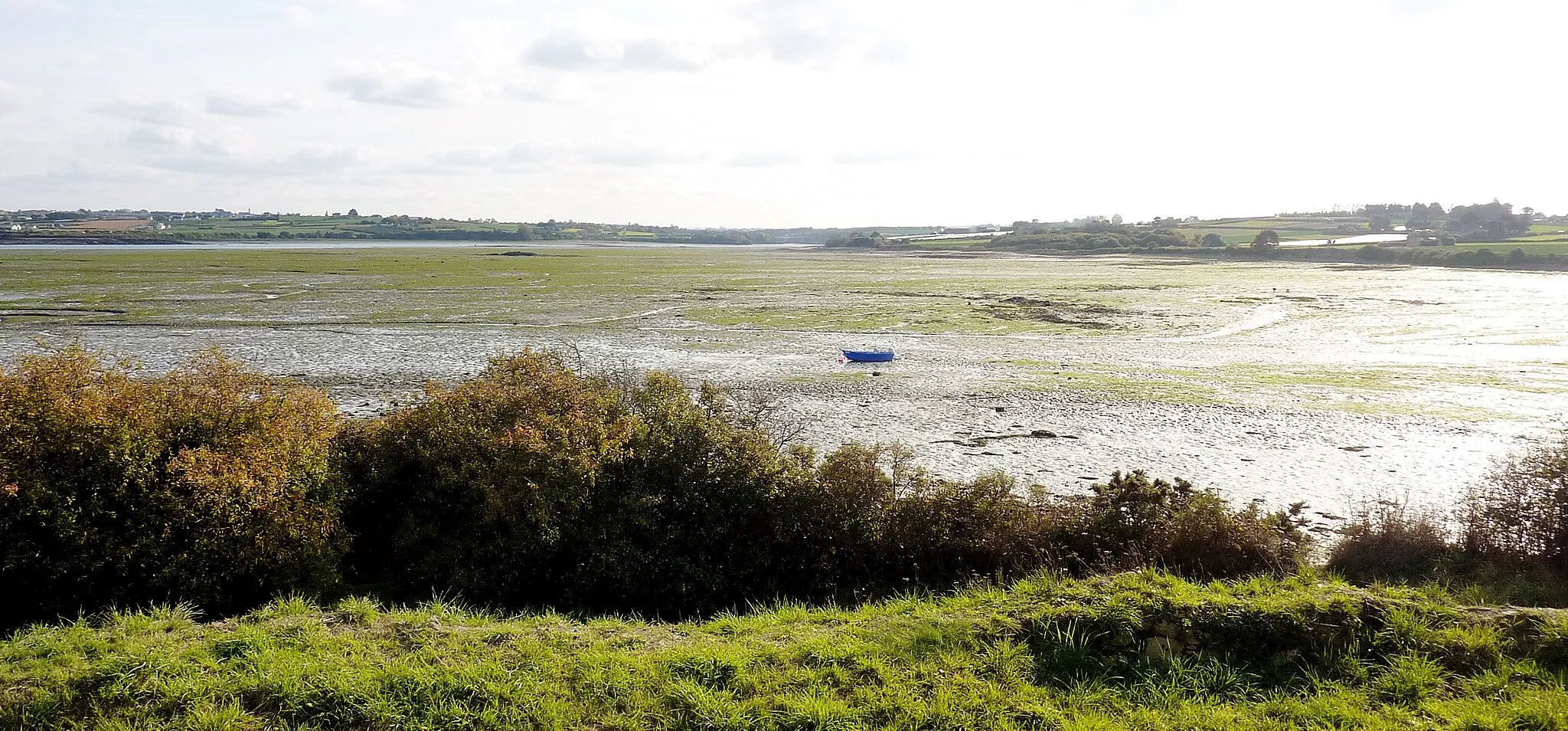 Photo showing: L'estuaire de la Penzé à marée basse : vue vers l'amont depuis la Pointe Saint-Jean.