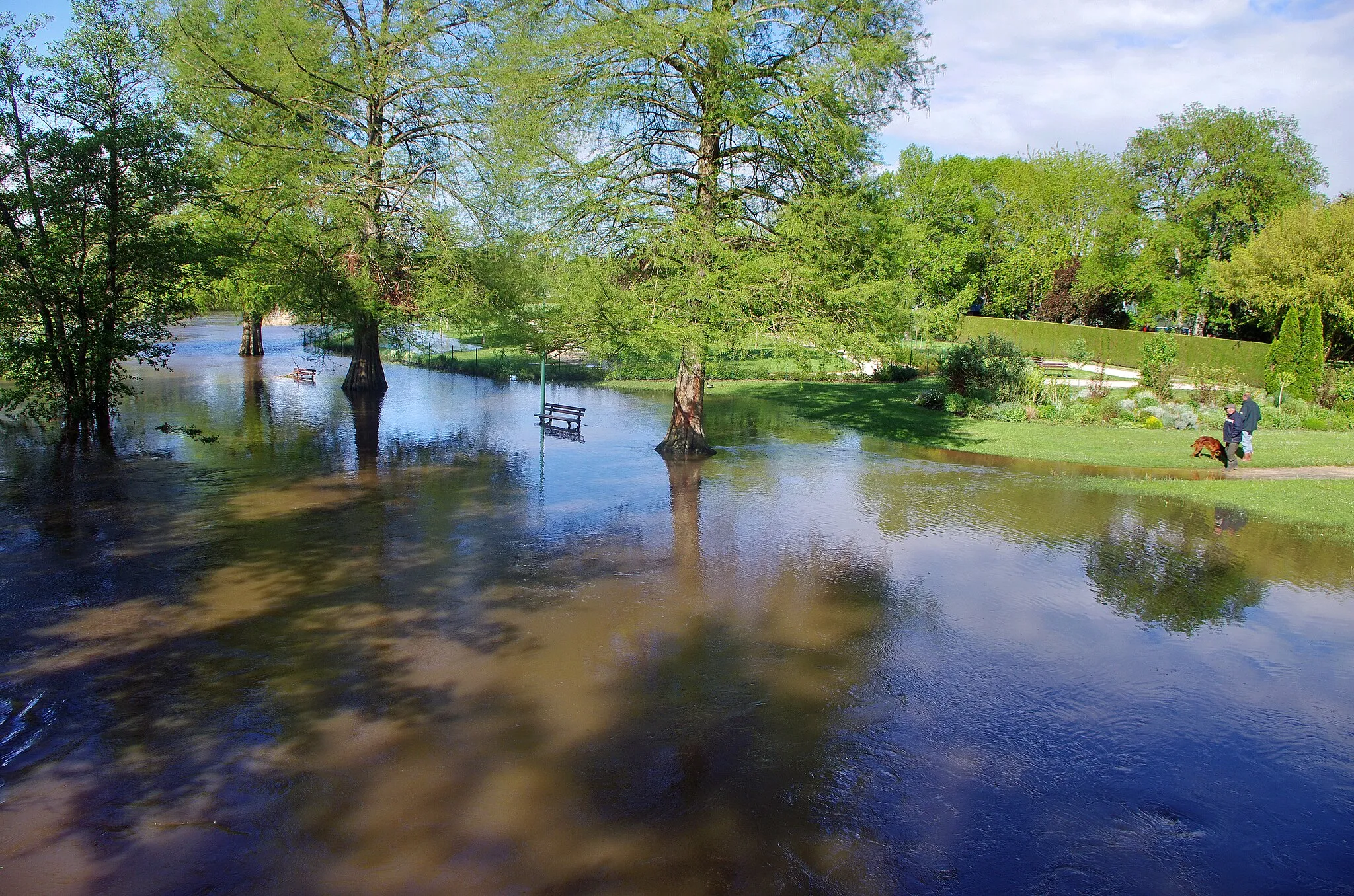 Photo showing: Cellettes (Loir-et-Cher).

Inondation du Beuvron.