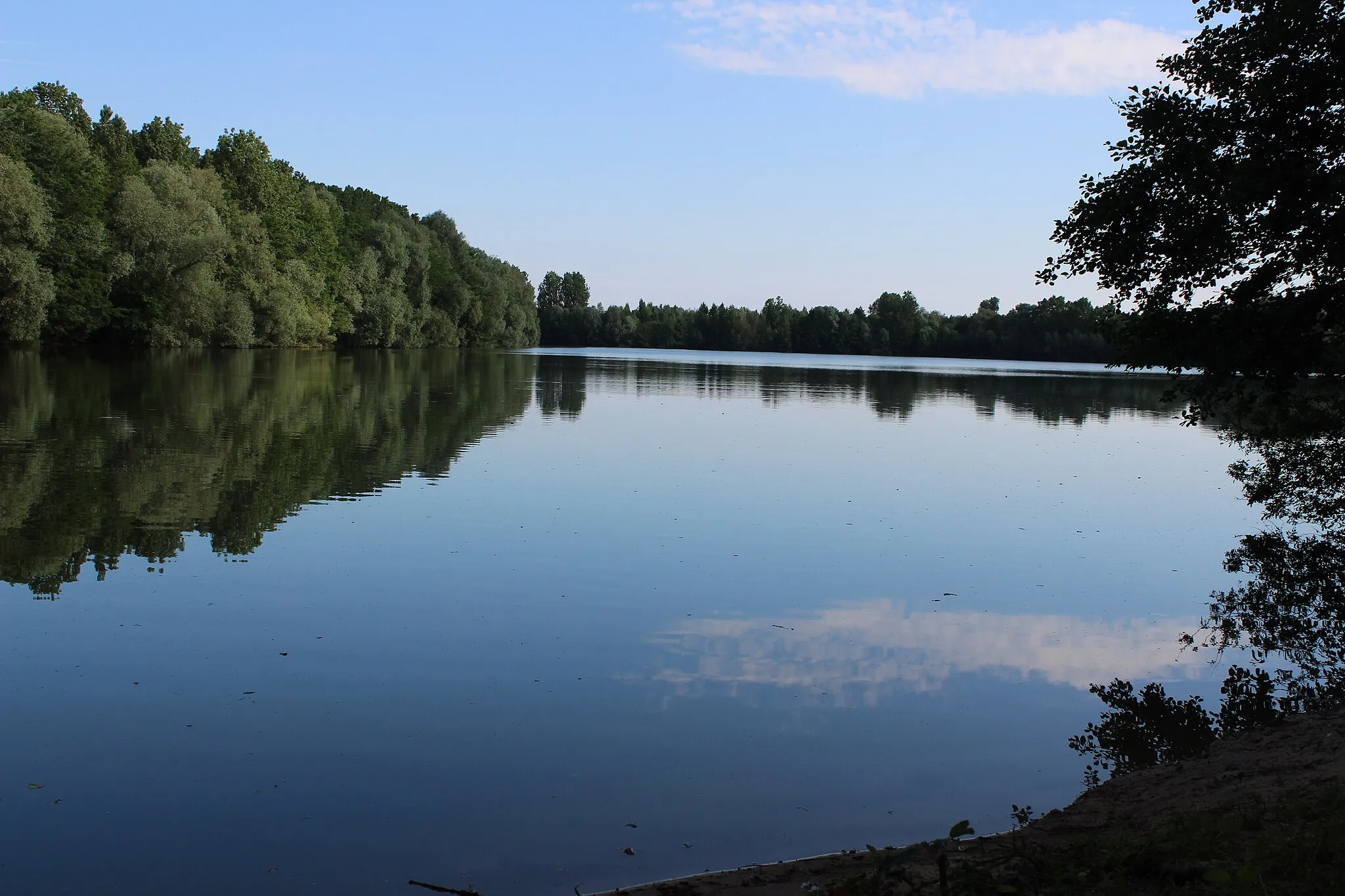 Photo showing: etang
vaussel
nature
calme
cepoy
station verte

loiret