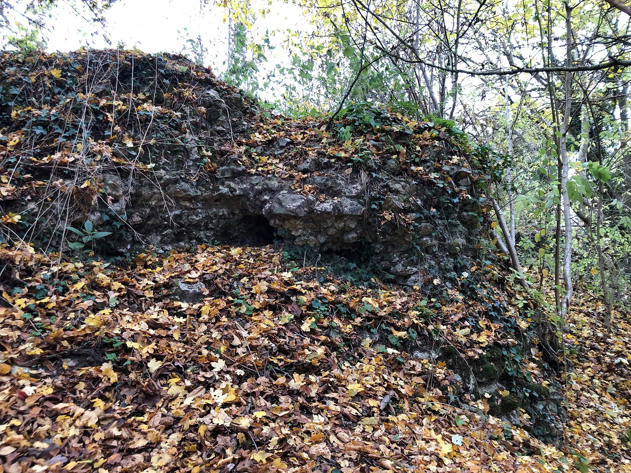 Photo showing: Motte médiévale du Plessis-Saint-Rémy