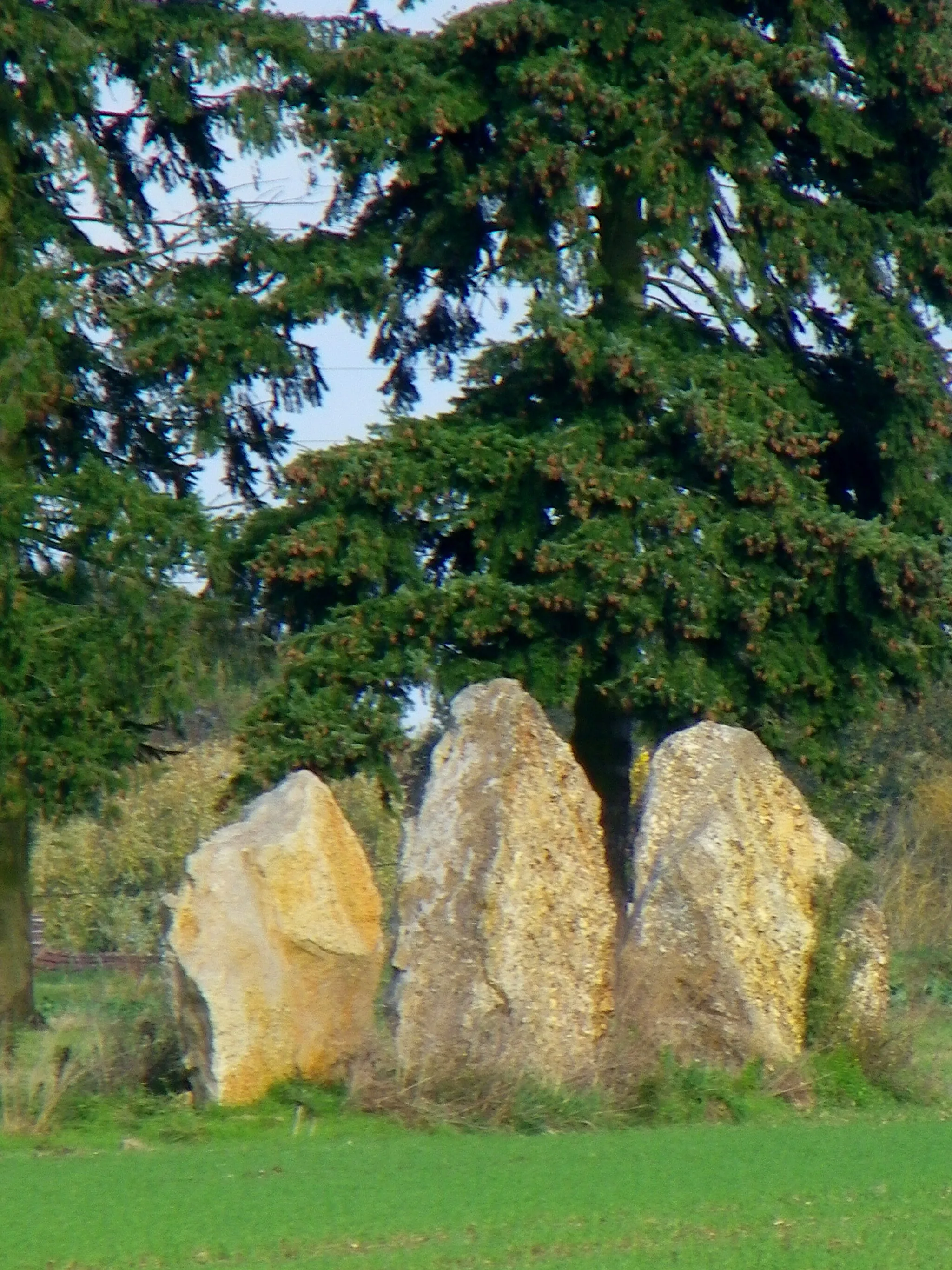 Photo showing: Standing stones near the Vieilles Ventes hamlet, commune of Sorel Moussel (France, Eure-et-Loir department).