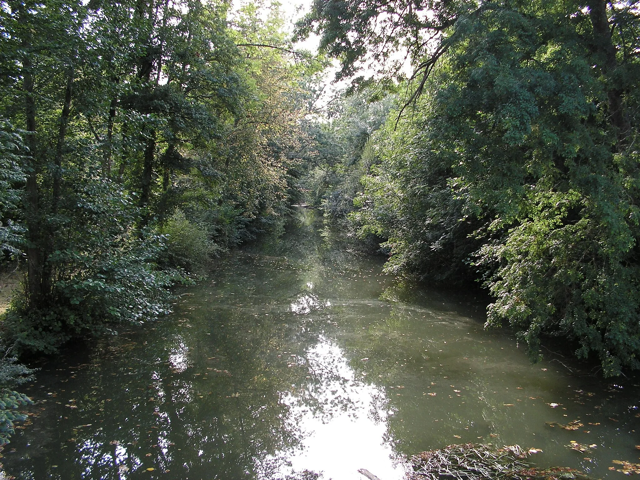 Photo showing: La rivière Le Nahon à Valençay (36).