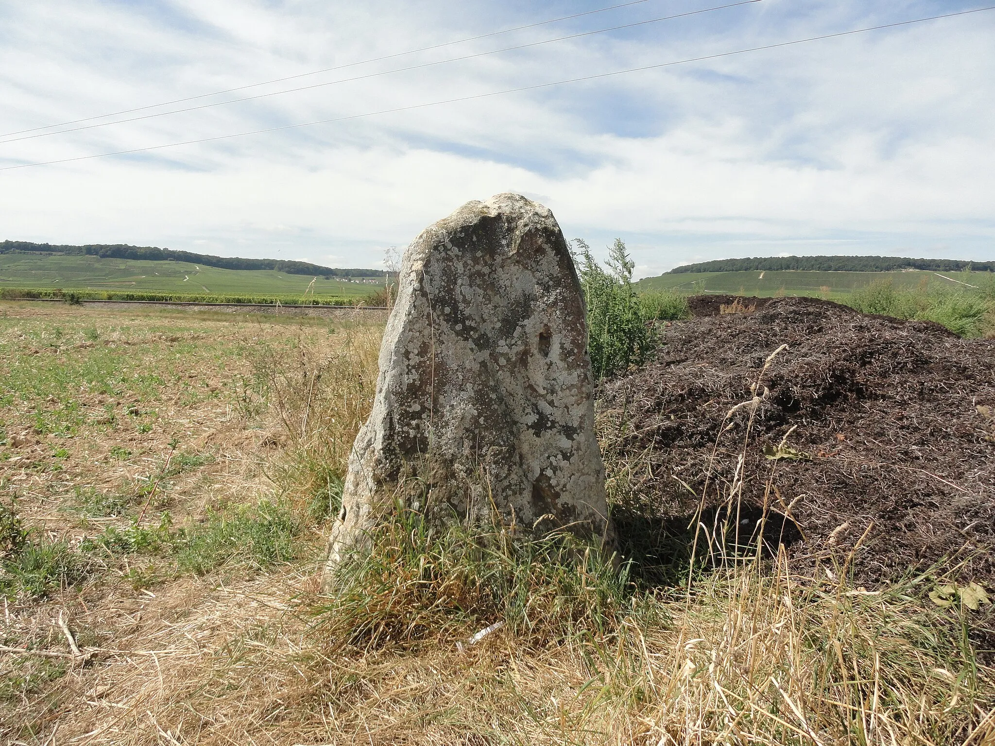 Photo showing: Le menhir de Haute-Borne, vu de l'est, avec en arrière plan la Côte des Blancs.
