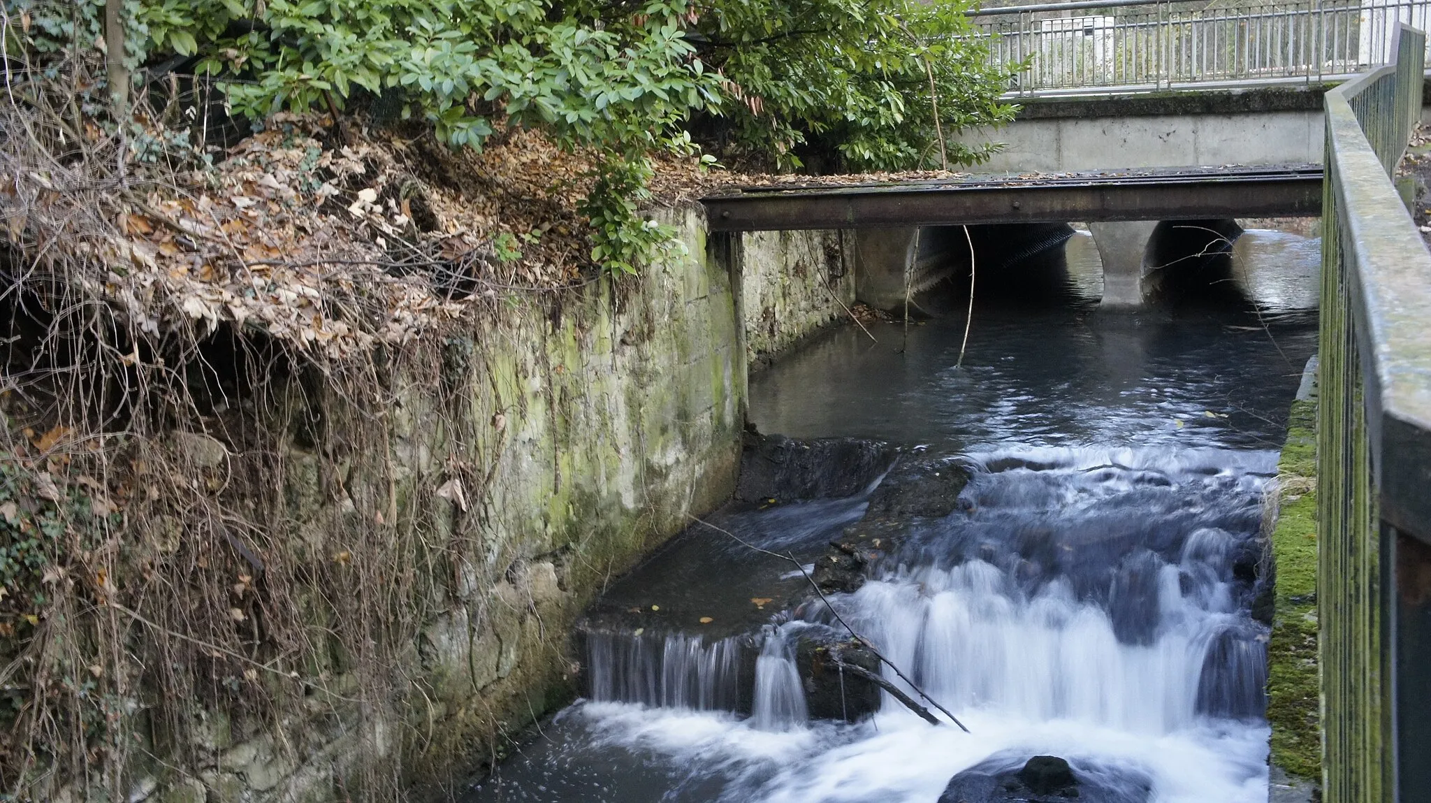 Image of Champagne-Ardenne