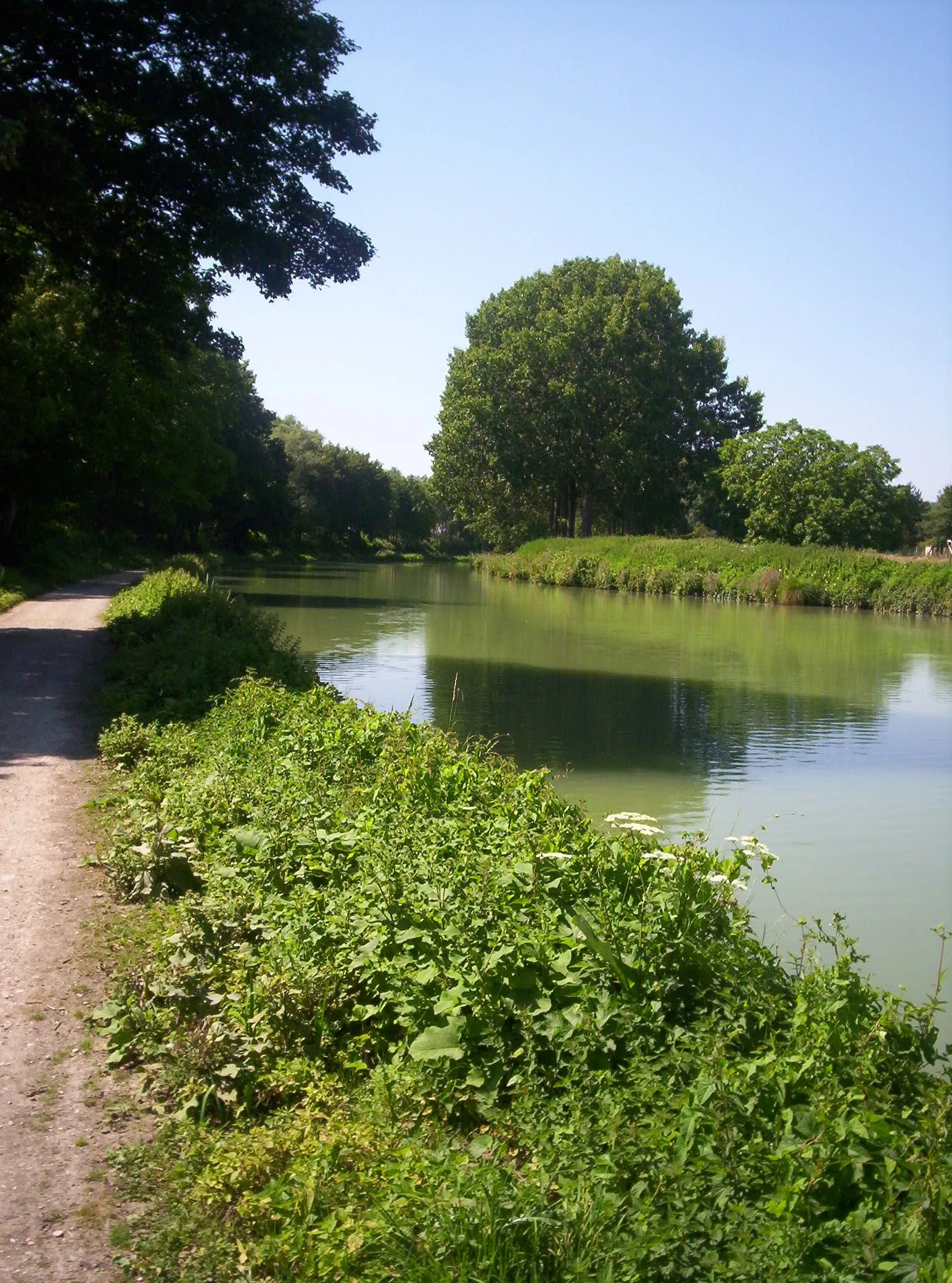 Photo showing: Canal latéral à la Marne - Épernay