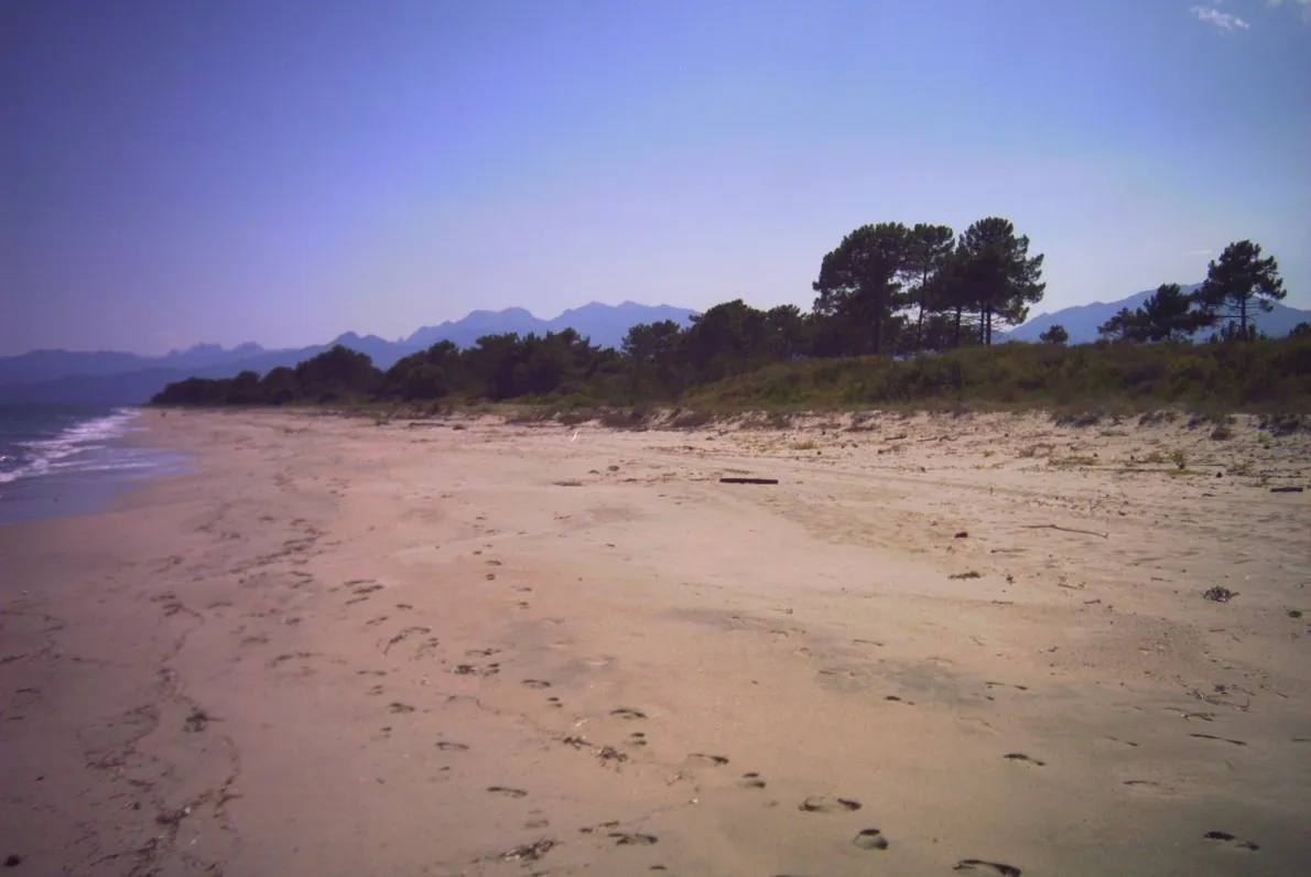 Photo showing: La plage bordant le domaine de Pinia, commune de Ghisonaccia (Haute-Corse)