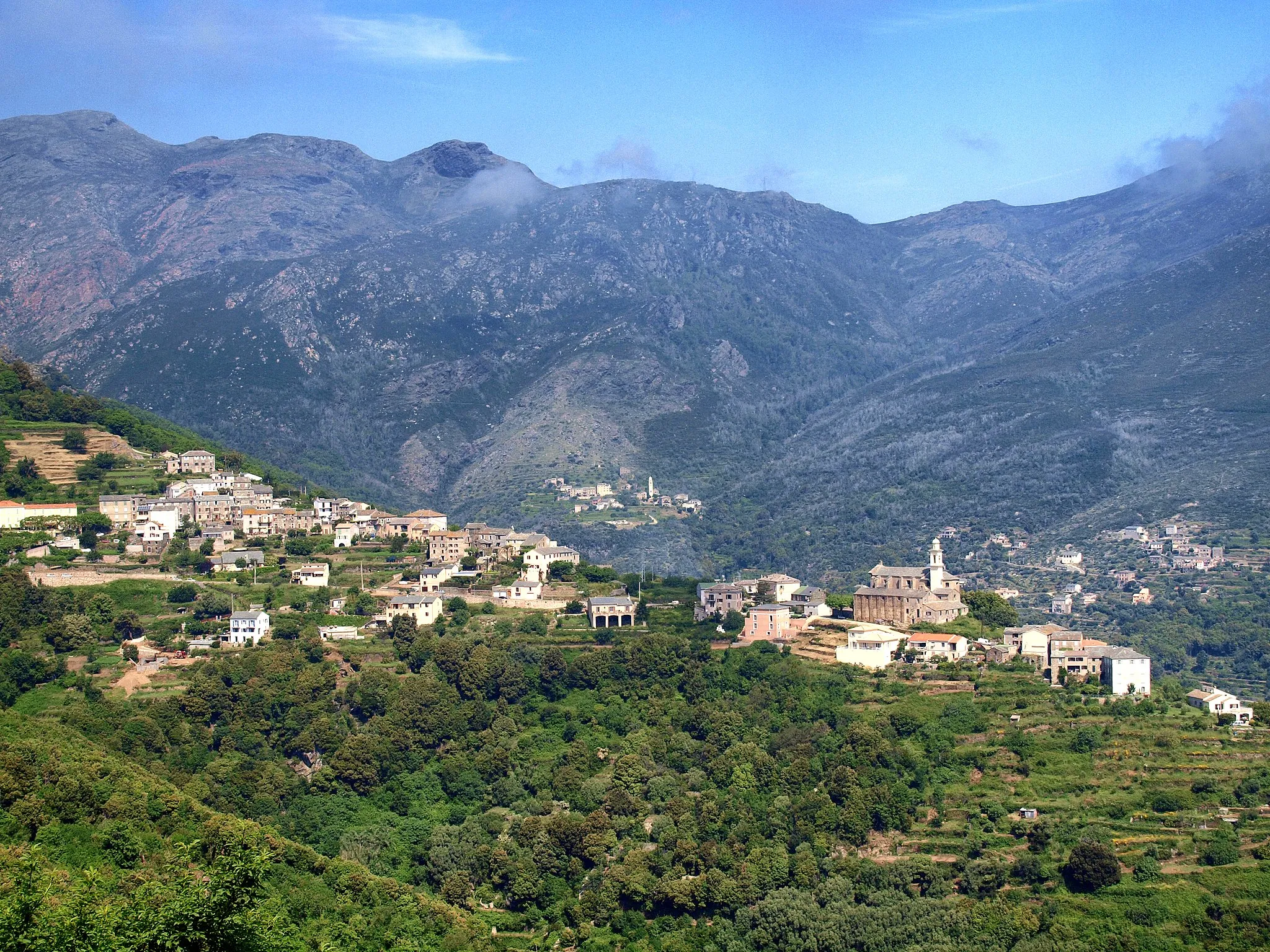 Immagine di Corse