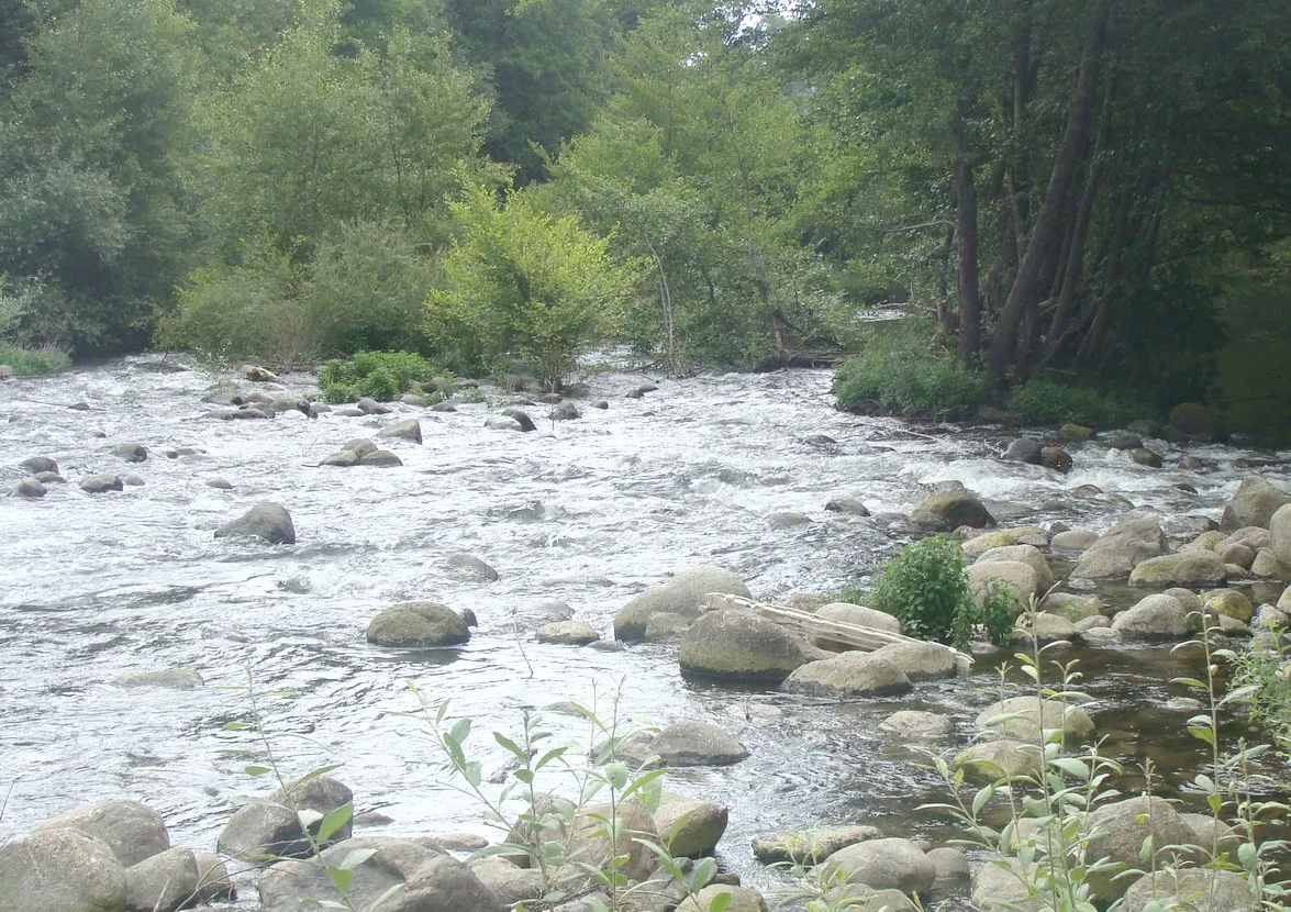 Photo showing: Le fleuve Fiumorbo en amont du pont de la grand-route de Ghisonaccia (RT 10, ex-RN 198)