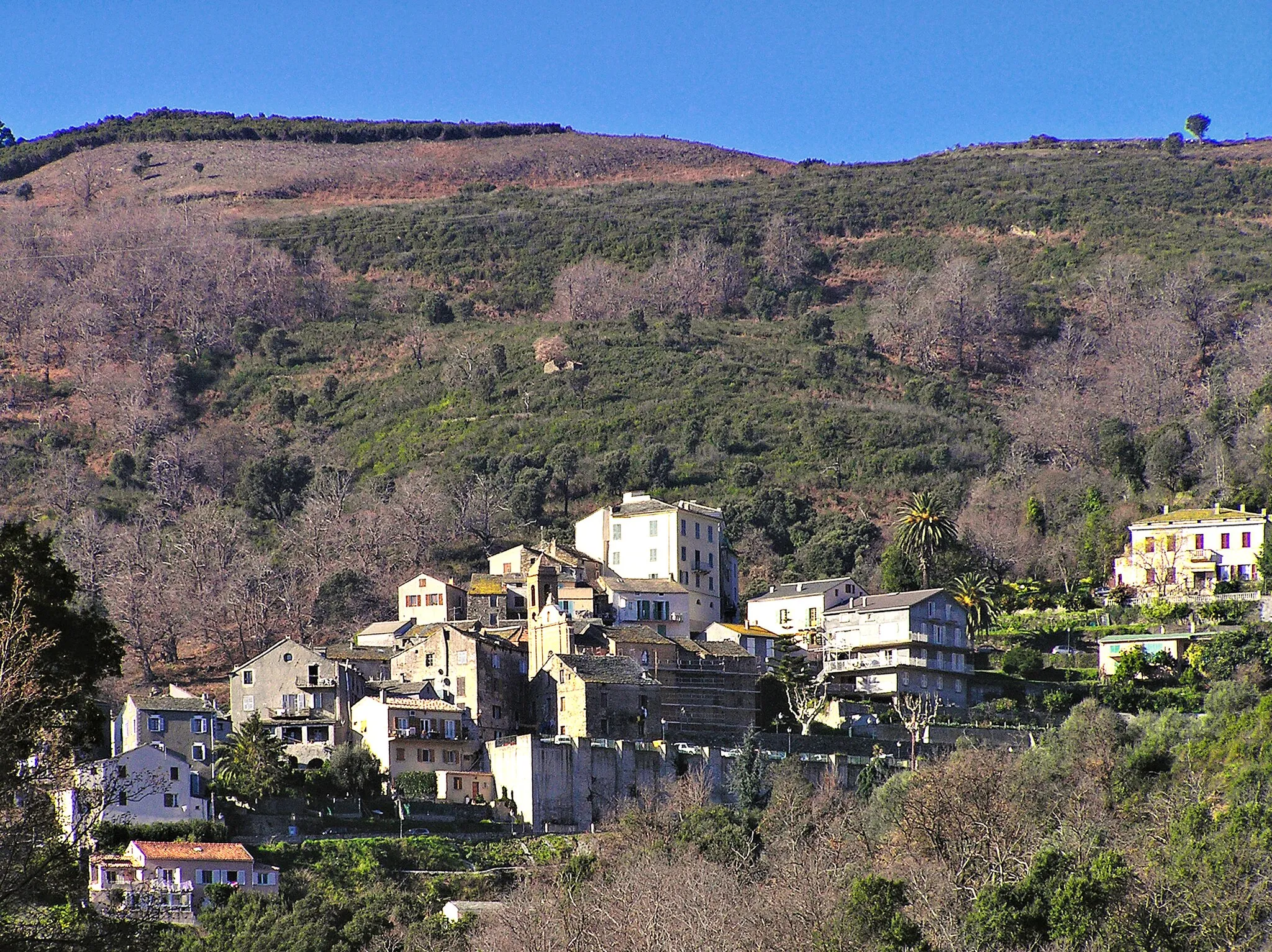 Photo showing: Lucciana village