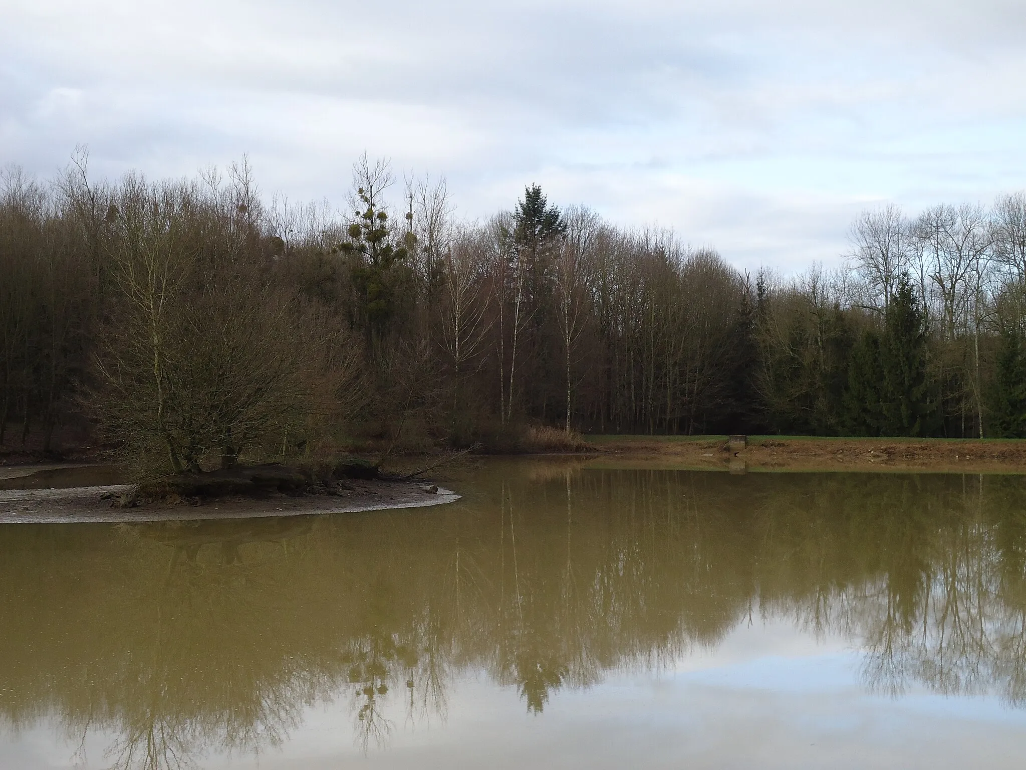 Photo showing: Etang communal de Foucherans