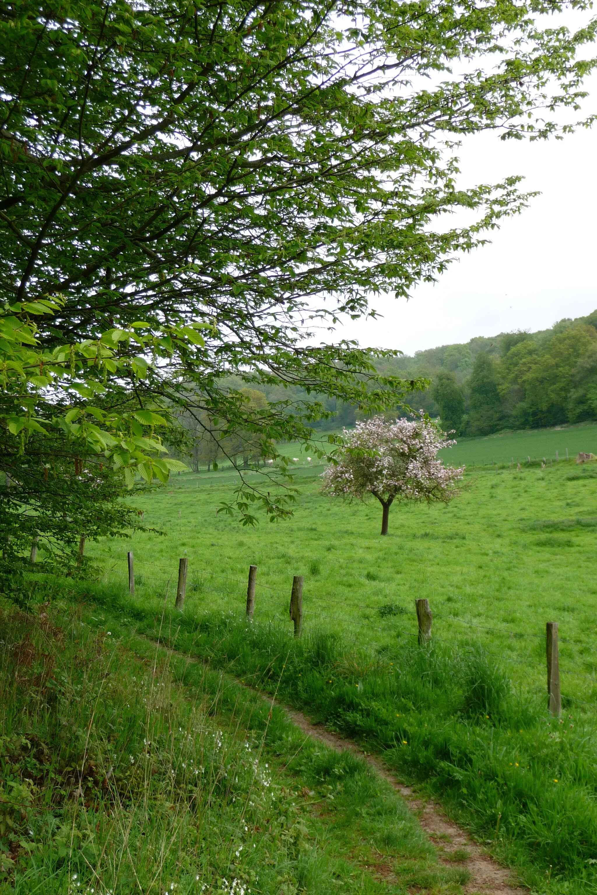 Image of Haute-Normandie