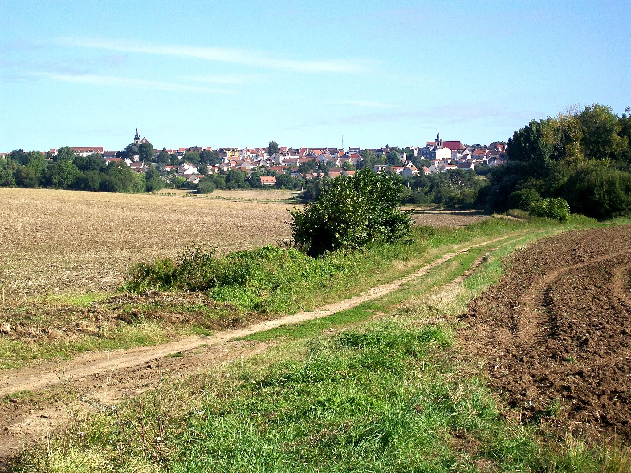 Photo showing: Panorama de Dammartin depuis le GR 1, en venant de Saint-Mard.