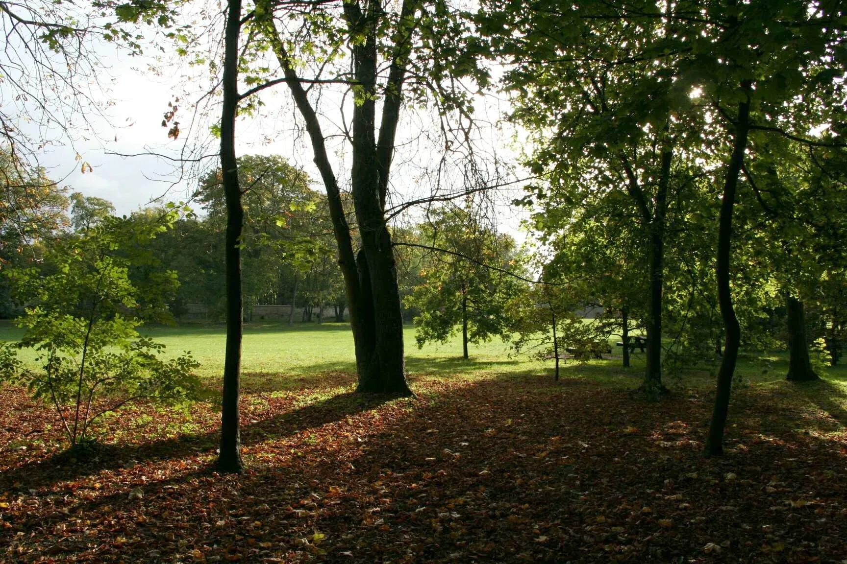 Photo showing: Parc du château à Issou (jardin public) - Yvelines (France)
