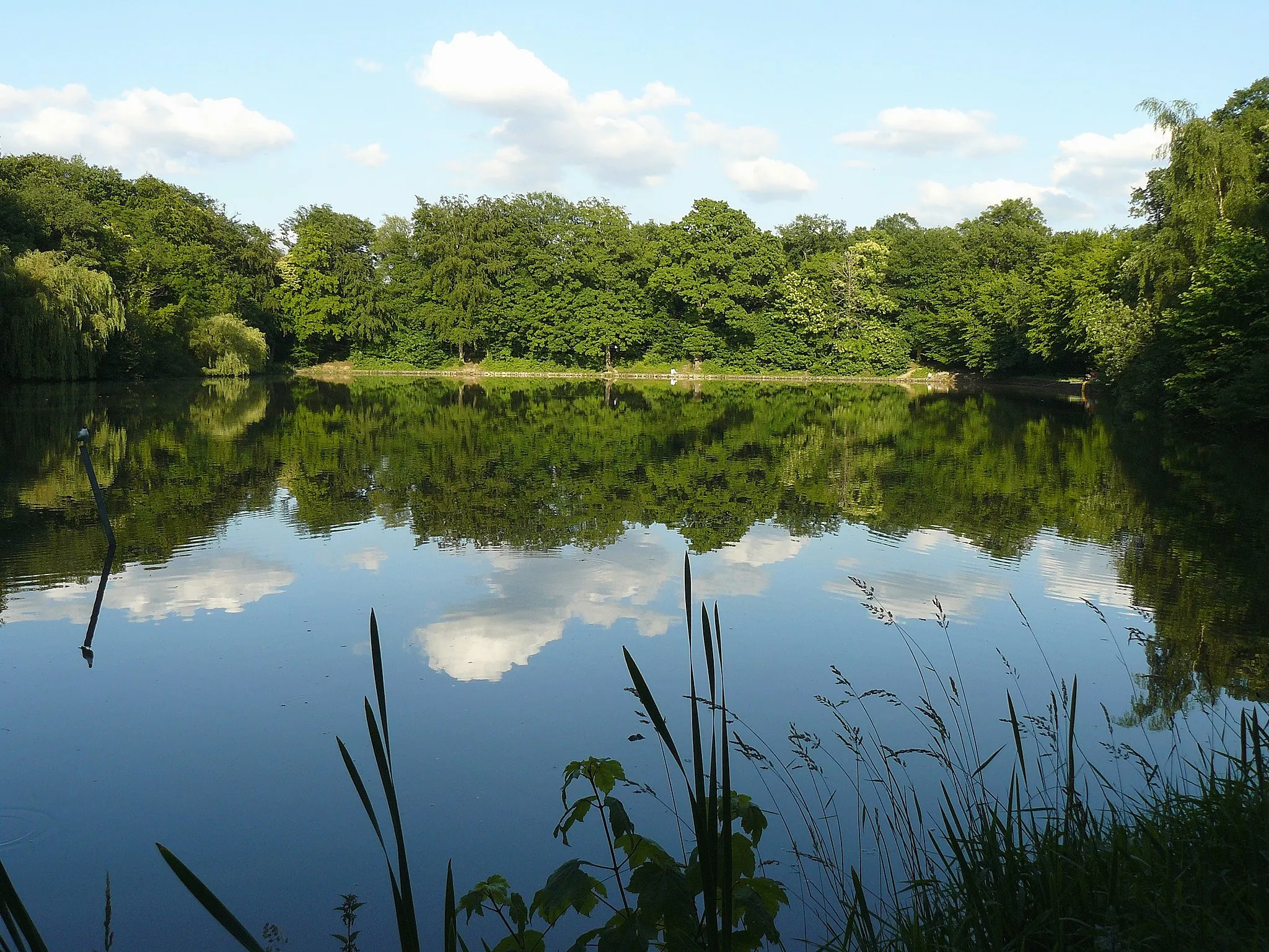 Photo showing: L'étang de Villebon, dans la forêt de Meudon (Hauts-de-Seine, France)