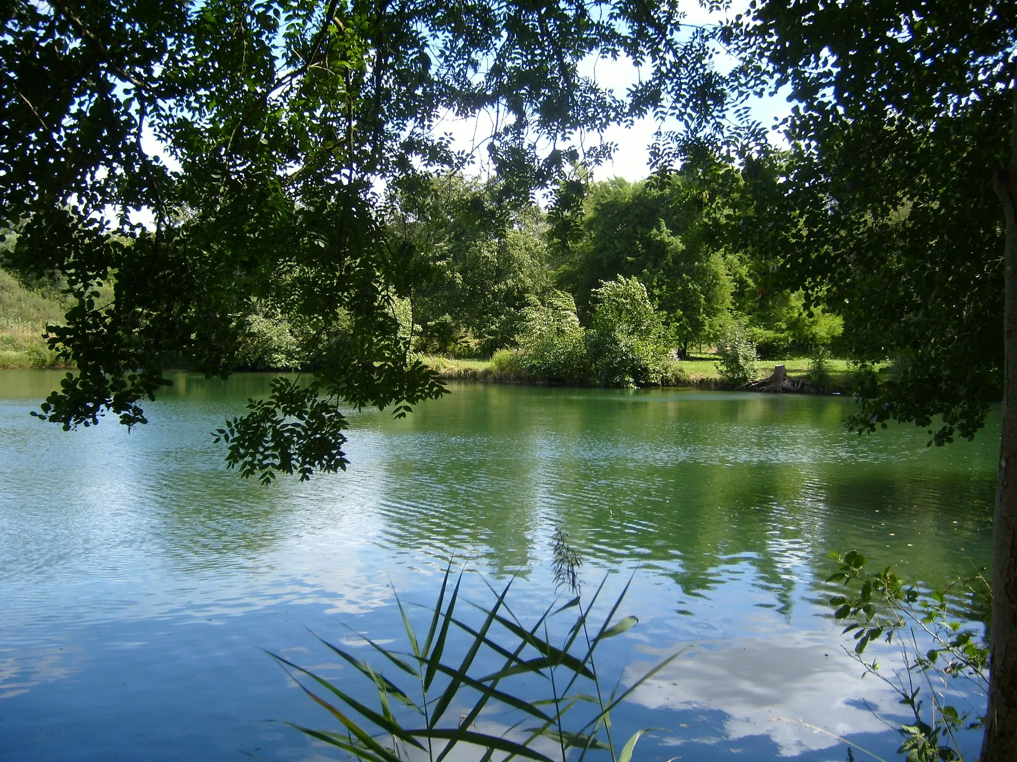 Photo showing: The River Loing at Souppes-sur-Loing