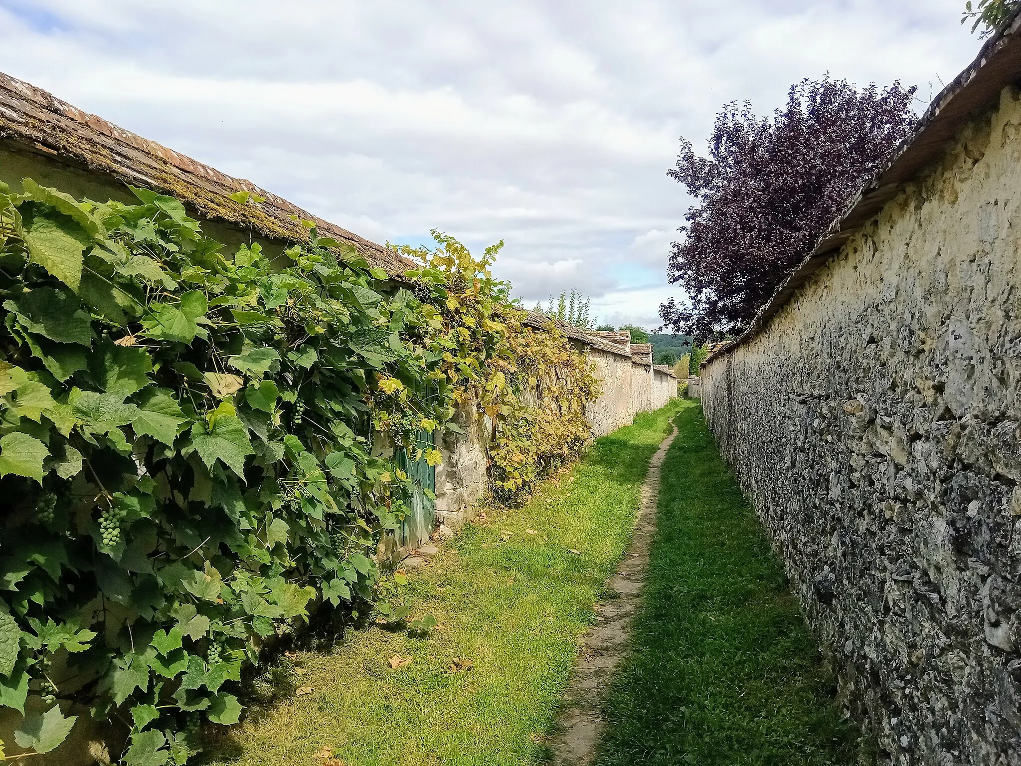 Photo showing: Chemin des Longs Sillons, Thomery, Seine-et-Marne, France