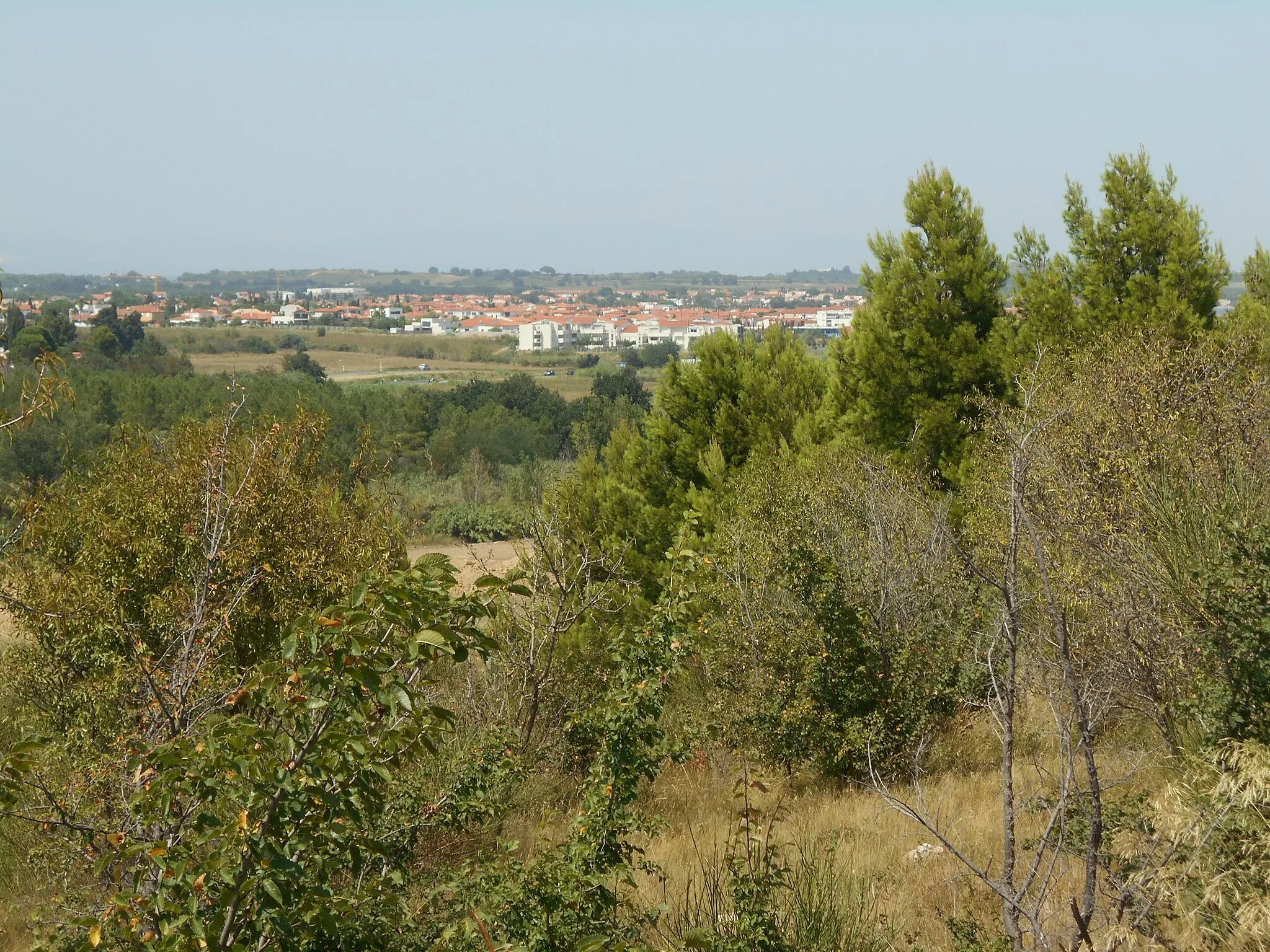 Image of Bages