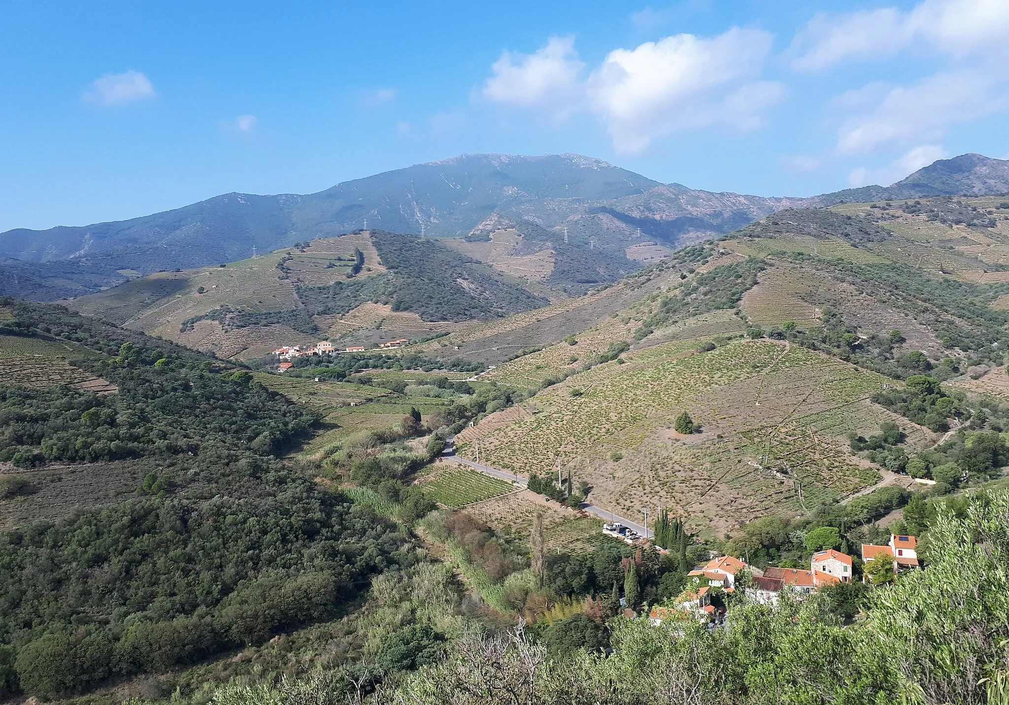 Photo showing: A dense drainage network has developed in the catchment area of the Baillaury river, with streams and rivers having cut deep, steep-sided valleys into the hard geological formations of this area. Those formations are of Ediacaran (pre-Cambrian - c550 Ma) age, and consist mainly of metasediments such as schist and marble.
In the background: Puig de Sallfort, 994 metres altitude.

B. Laumonier et al., "Notice explicative de la feuille Argelès-sur-Mer - Cerbère (1097) à 1/50 000", BRGM Éditions, Orléans, 2015 (pages 20-22), online at: http://ficheinfoterre.brgm.fr/Notices/1097N.pdf.