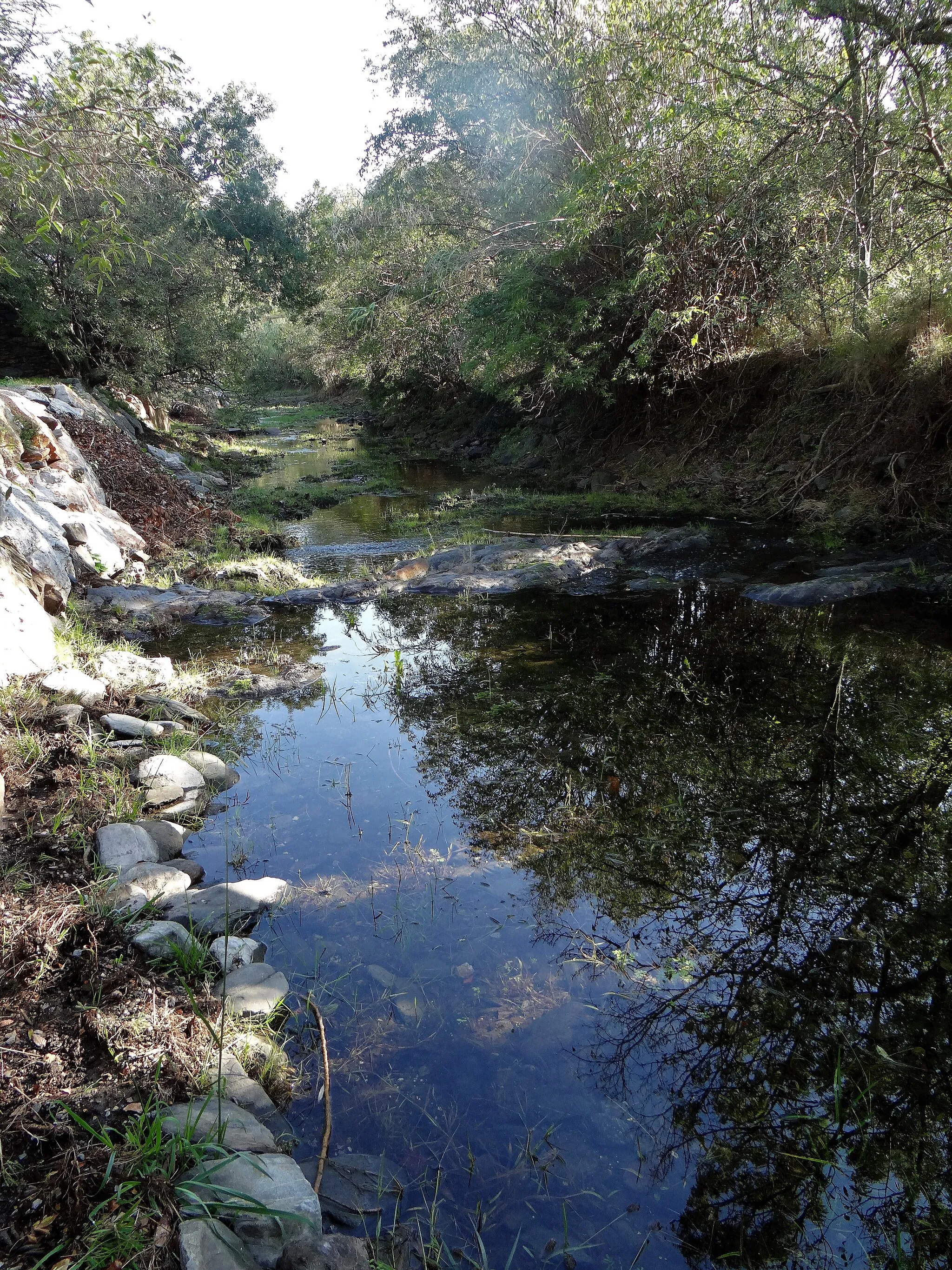 Bild von Languedoc-Roussillon