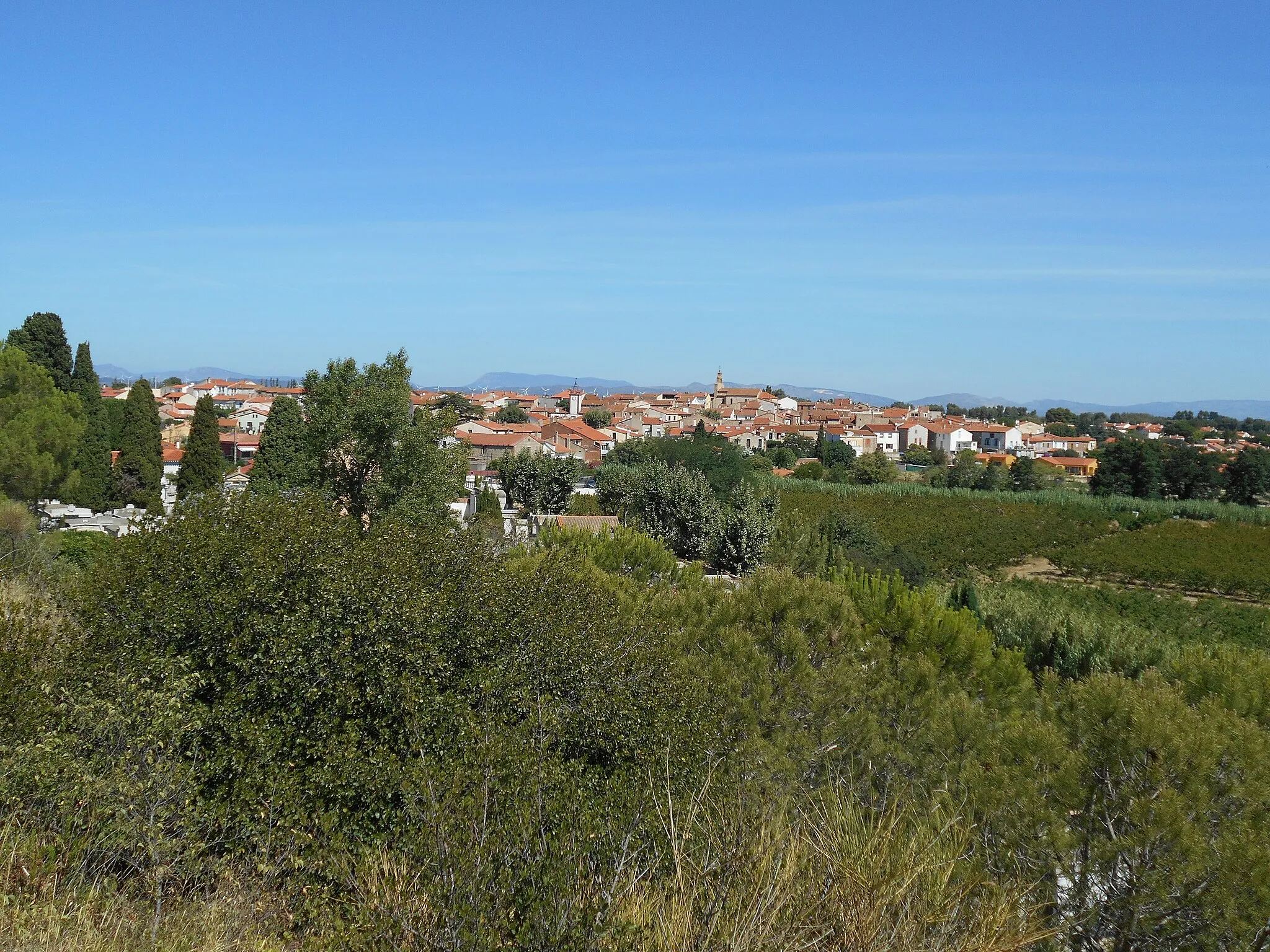 Bild av Languedoc-Roussillon