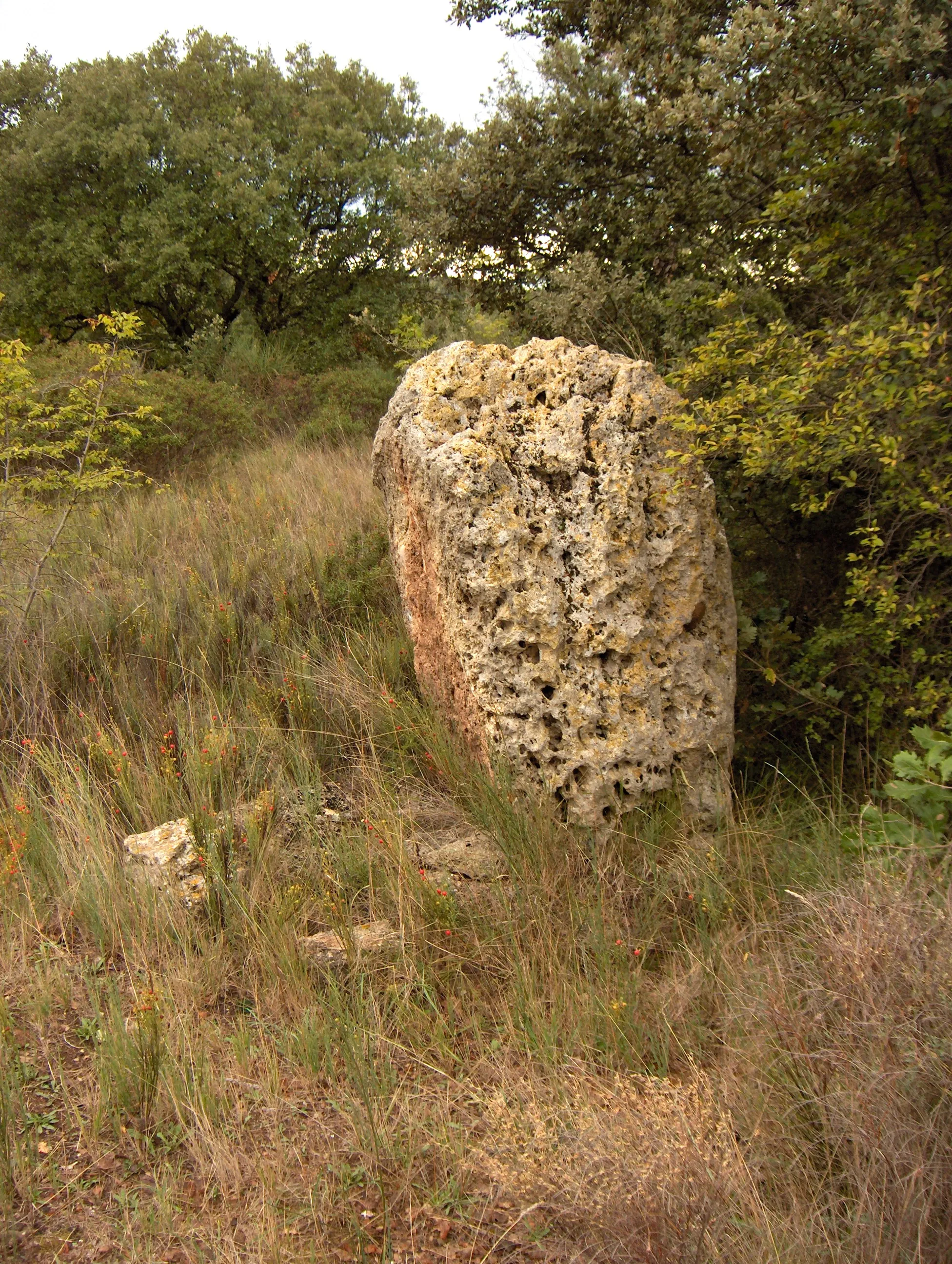 Photo showing: Menhir de Peyreficade, Caux (Hérault), 34720