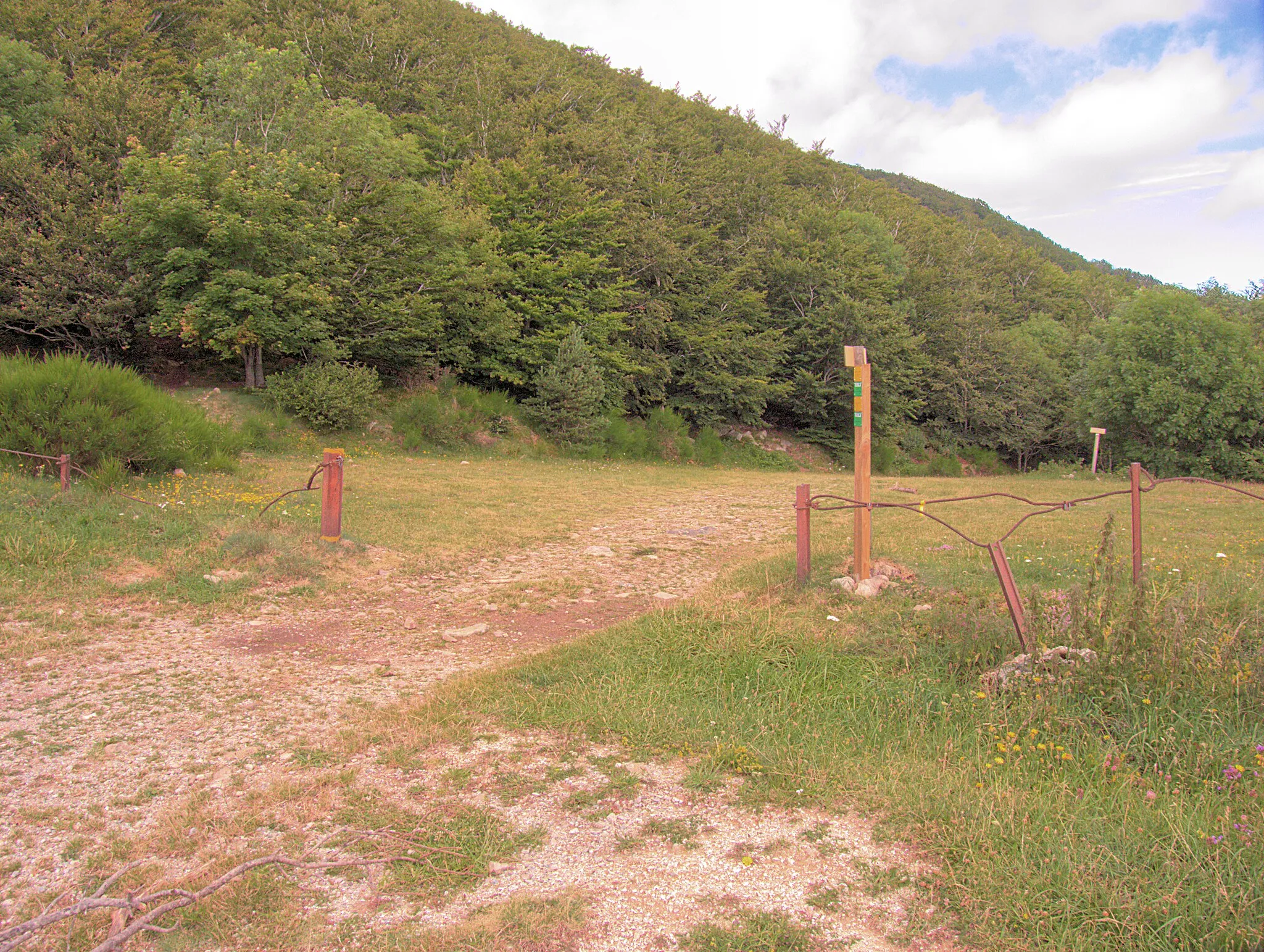 Image of Ceret