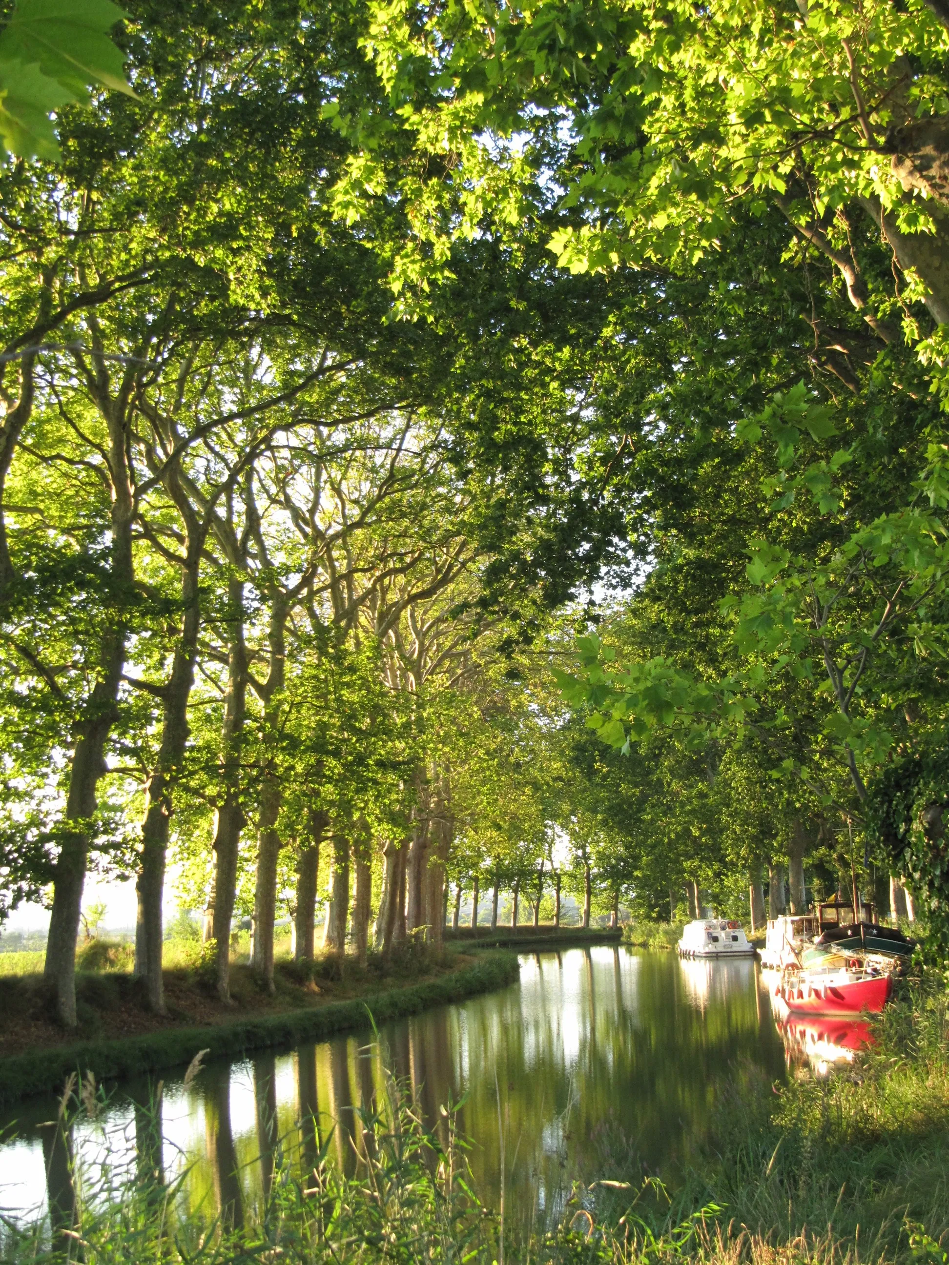 Photo showing: Canal du Midi, near Colombiers