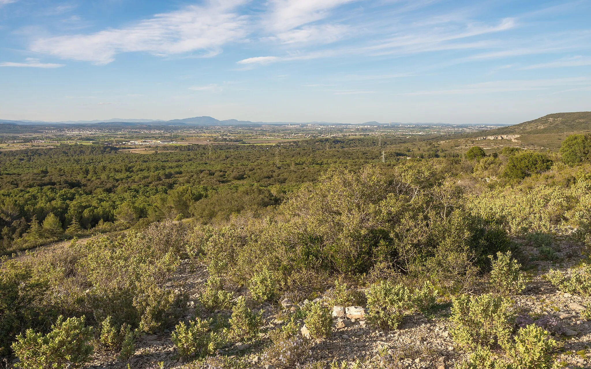 Photo showing: The plain of Fabrègues is a 20 km corridor which connects Montpellier in the Northeast to the Étang de Thau in the Southwest. View from the South in the La Gardiole Mountain in Fabrègues, Hérault, France.