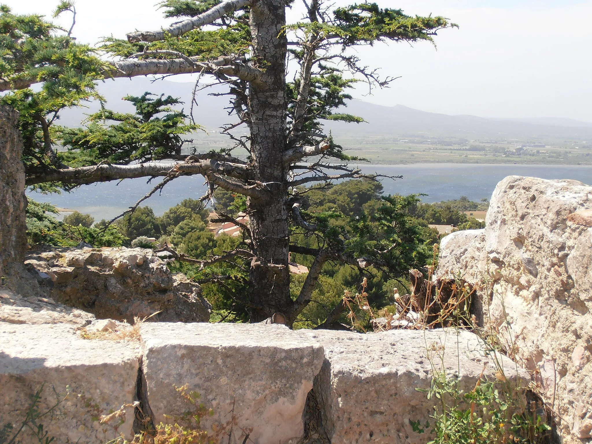 Zdjęcie: Languedoc-Roussillon